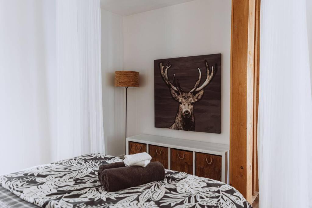 Chalet Kabana Spa au bord du lac