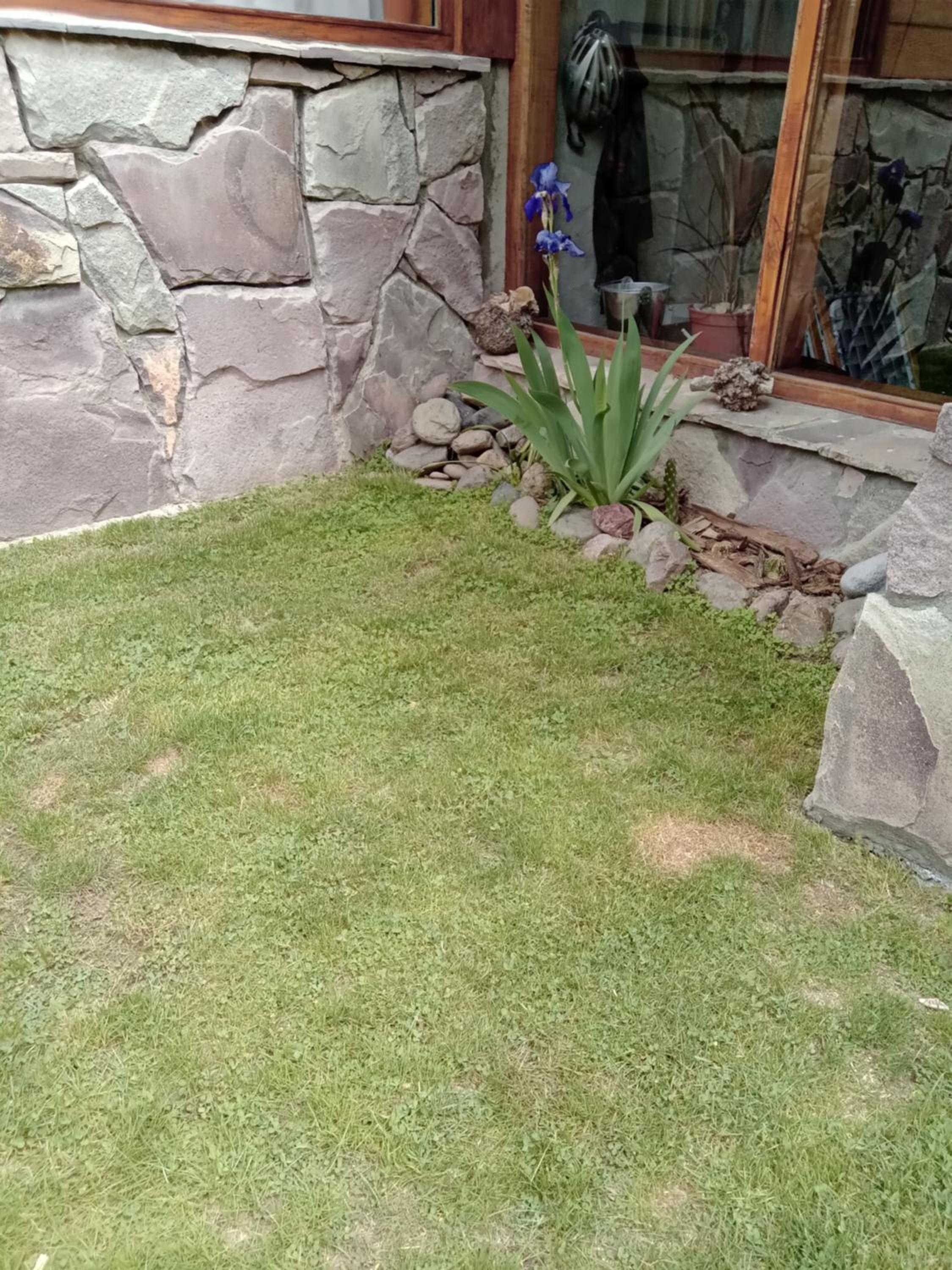 cabaña meliquina Minihouse