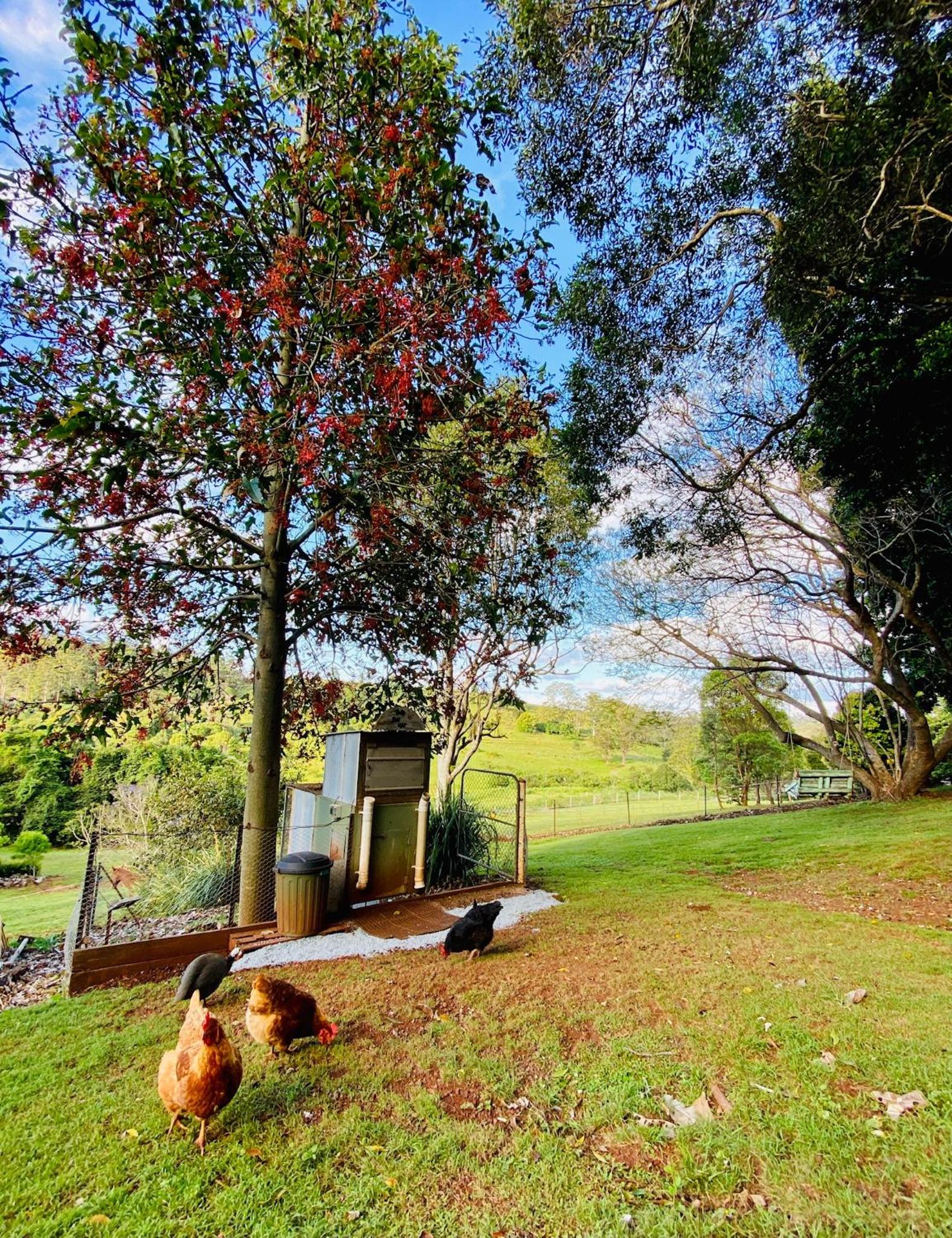 Doomben Ridge Farm House