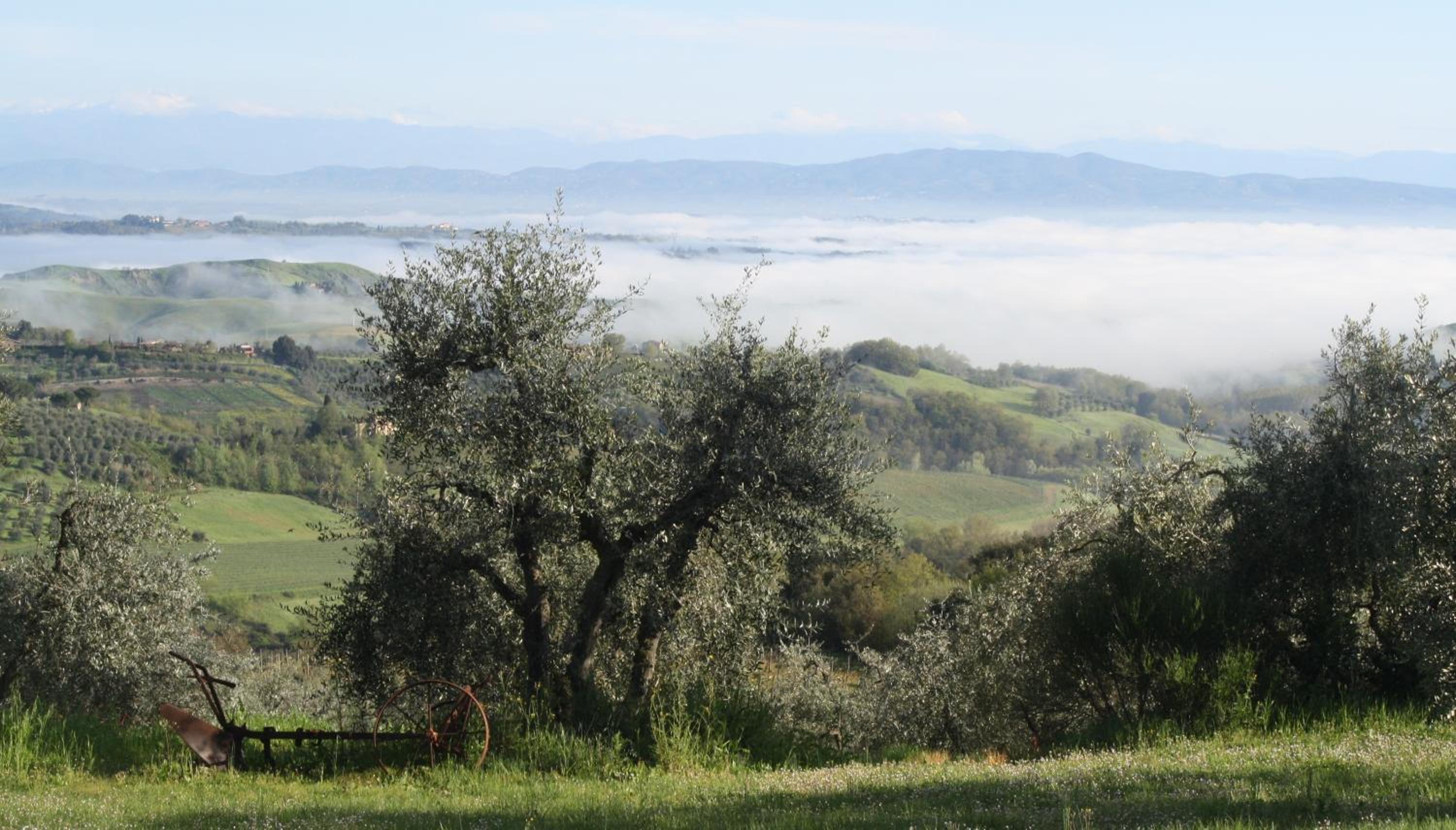Agriturismo Rigone in Chianti