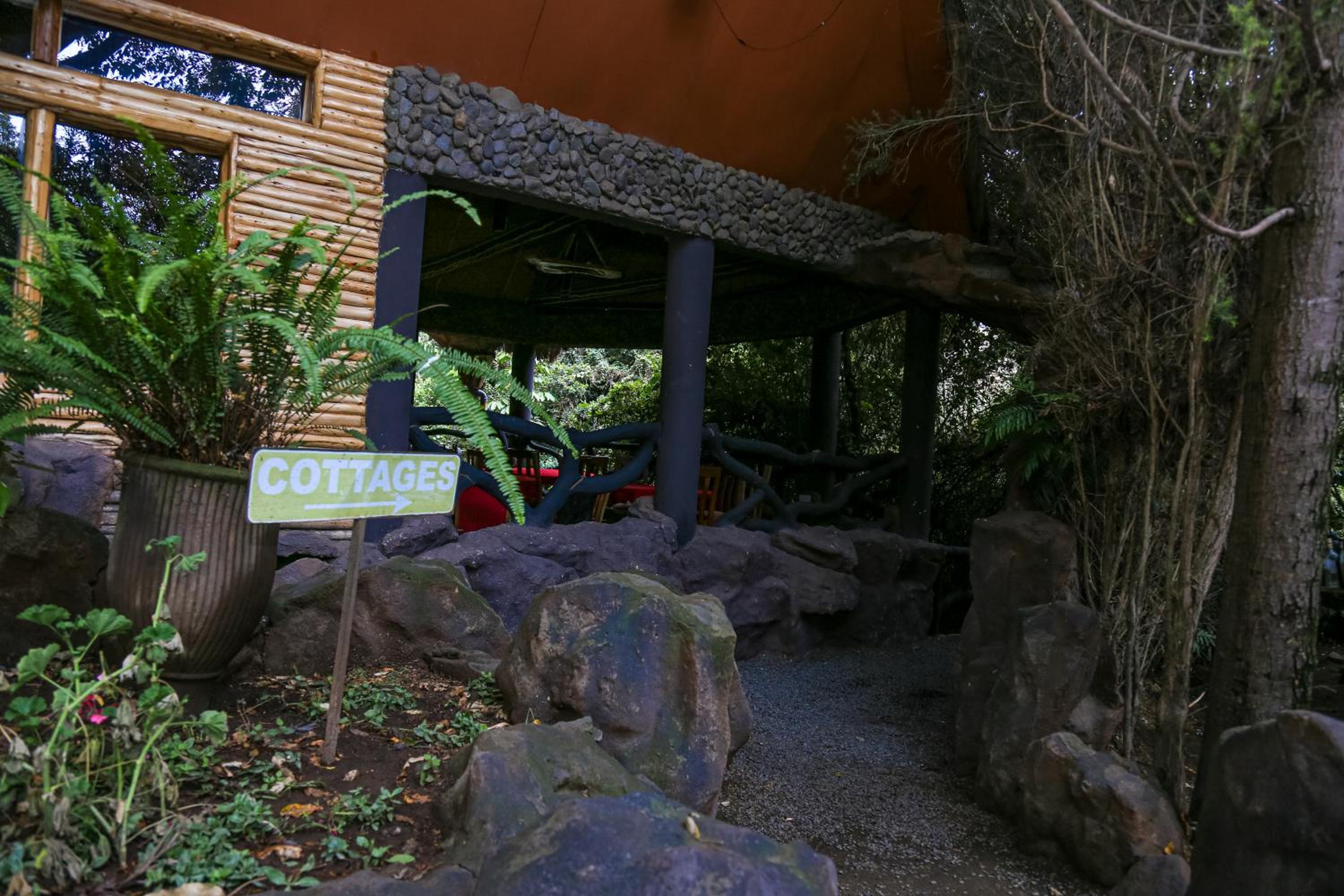 Dovenest Lodge