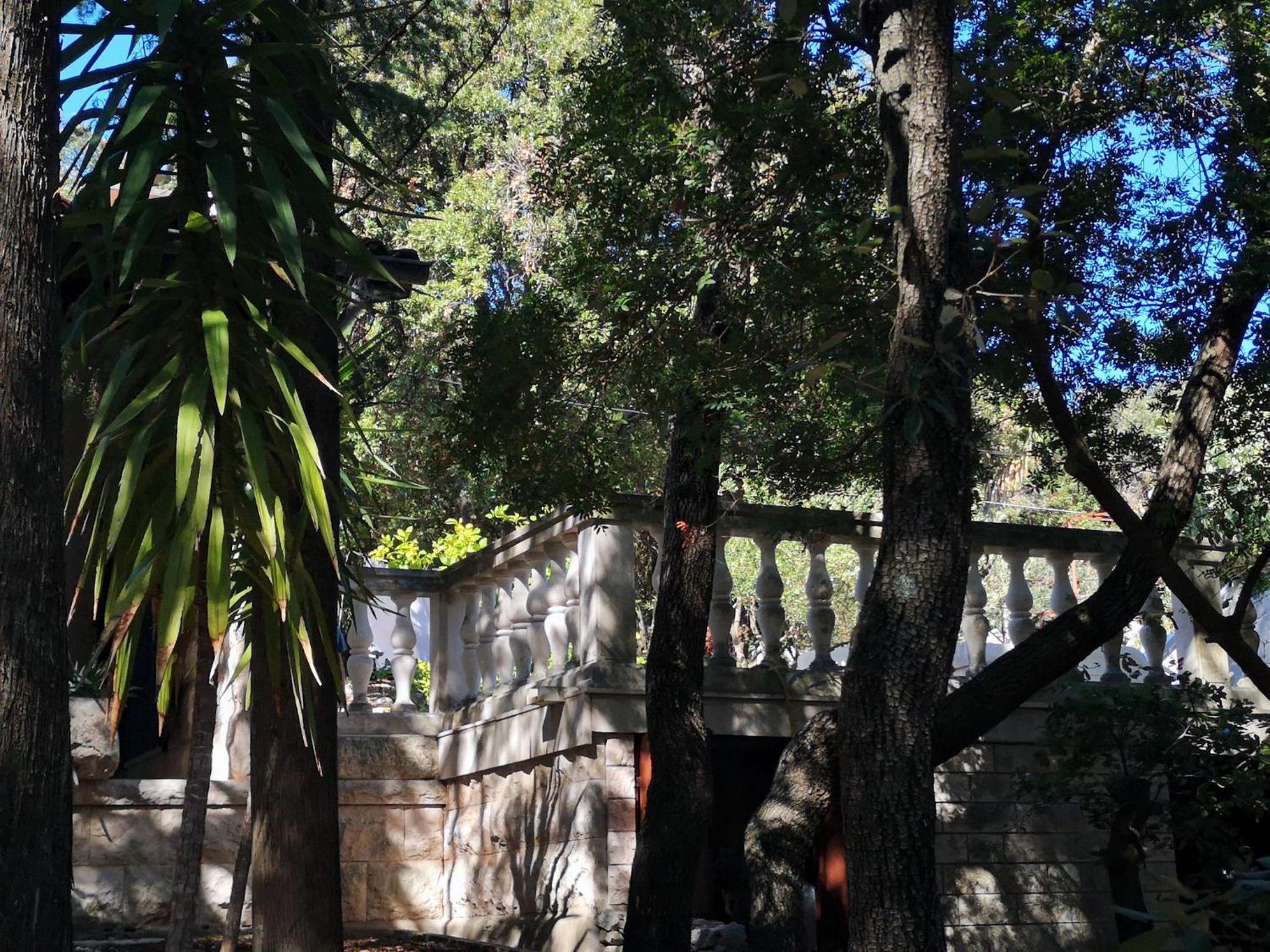 Photo 42
