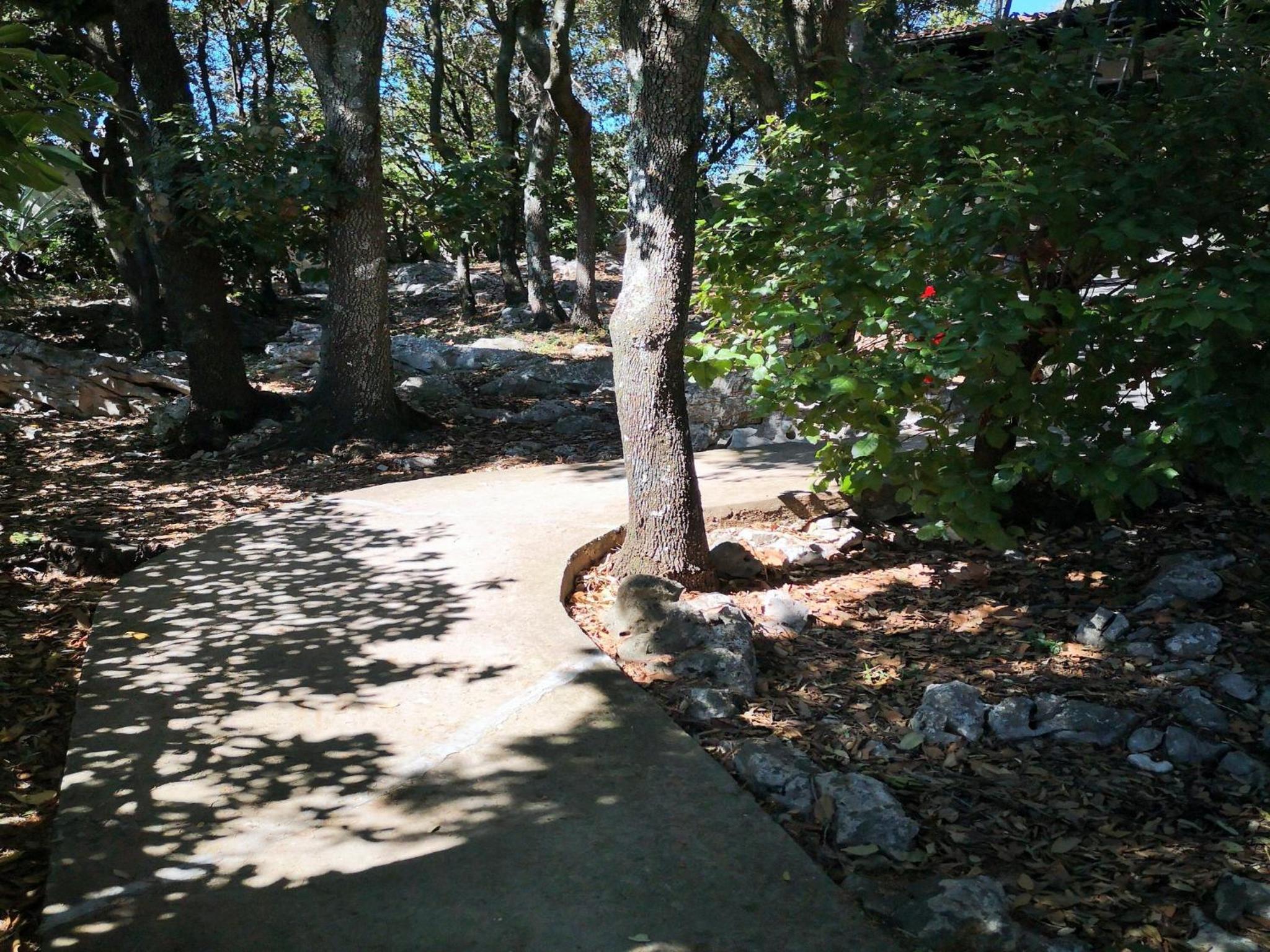 Photo 38