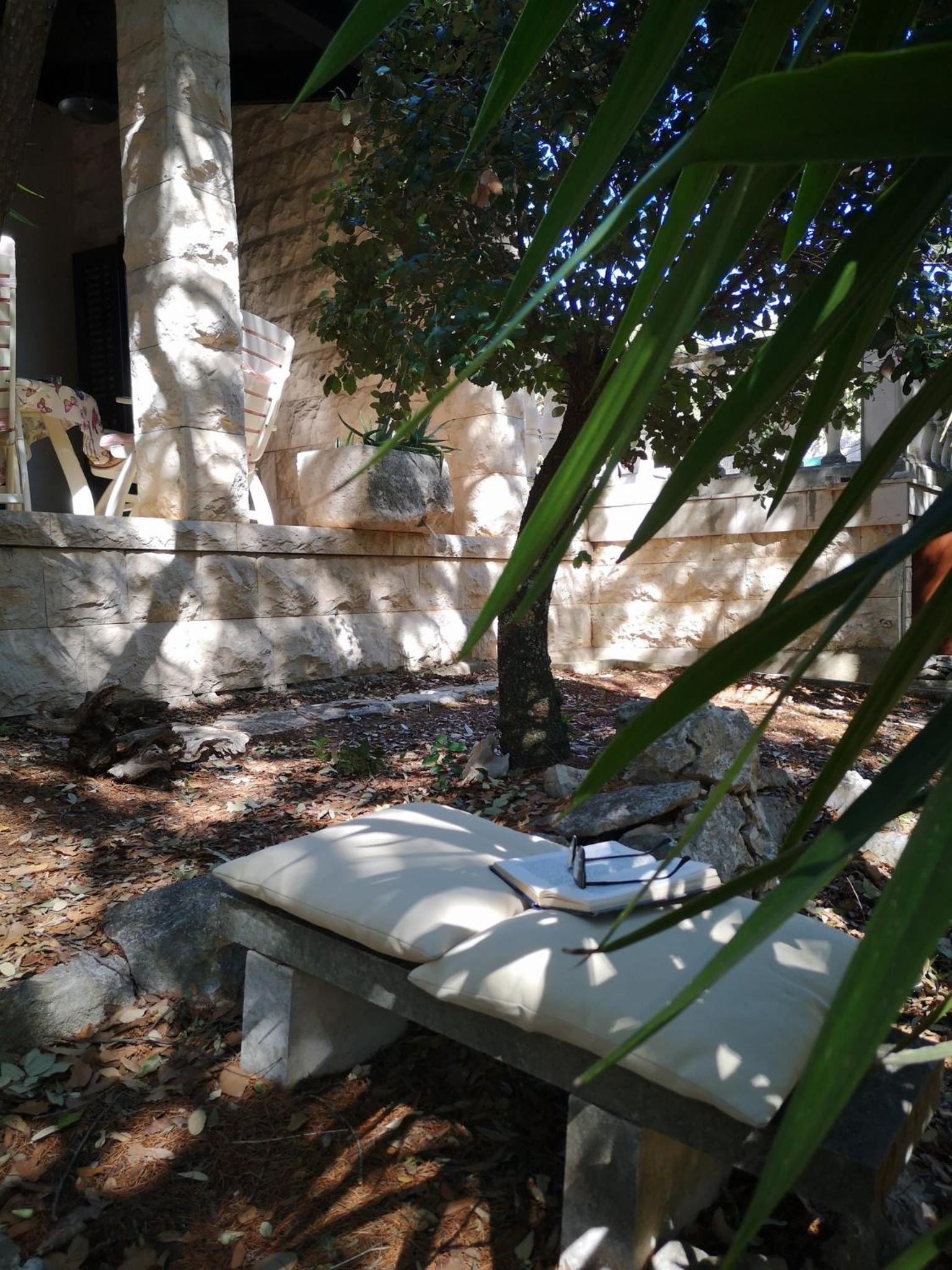Photo 40