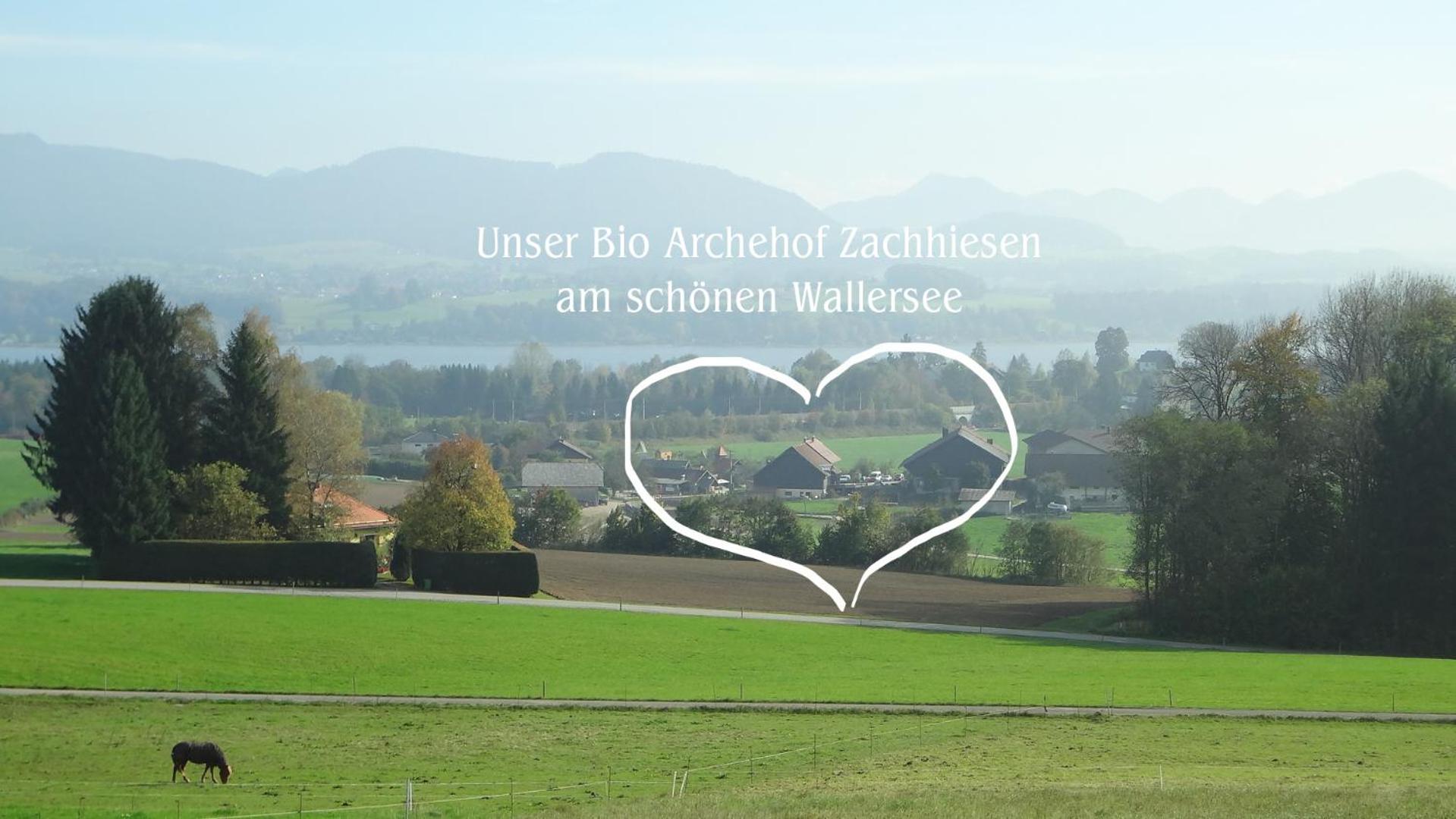 Bio Archehof Zachhiesen - stay & relax