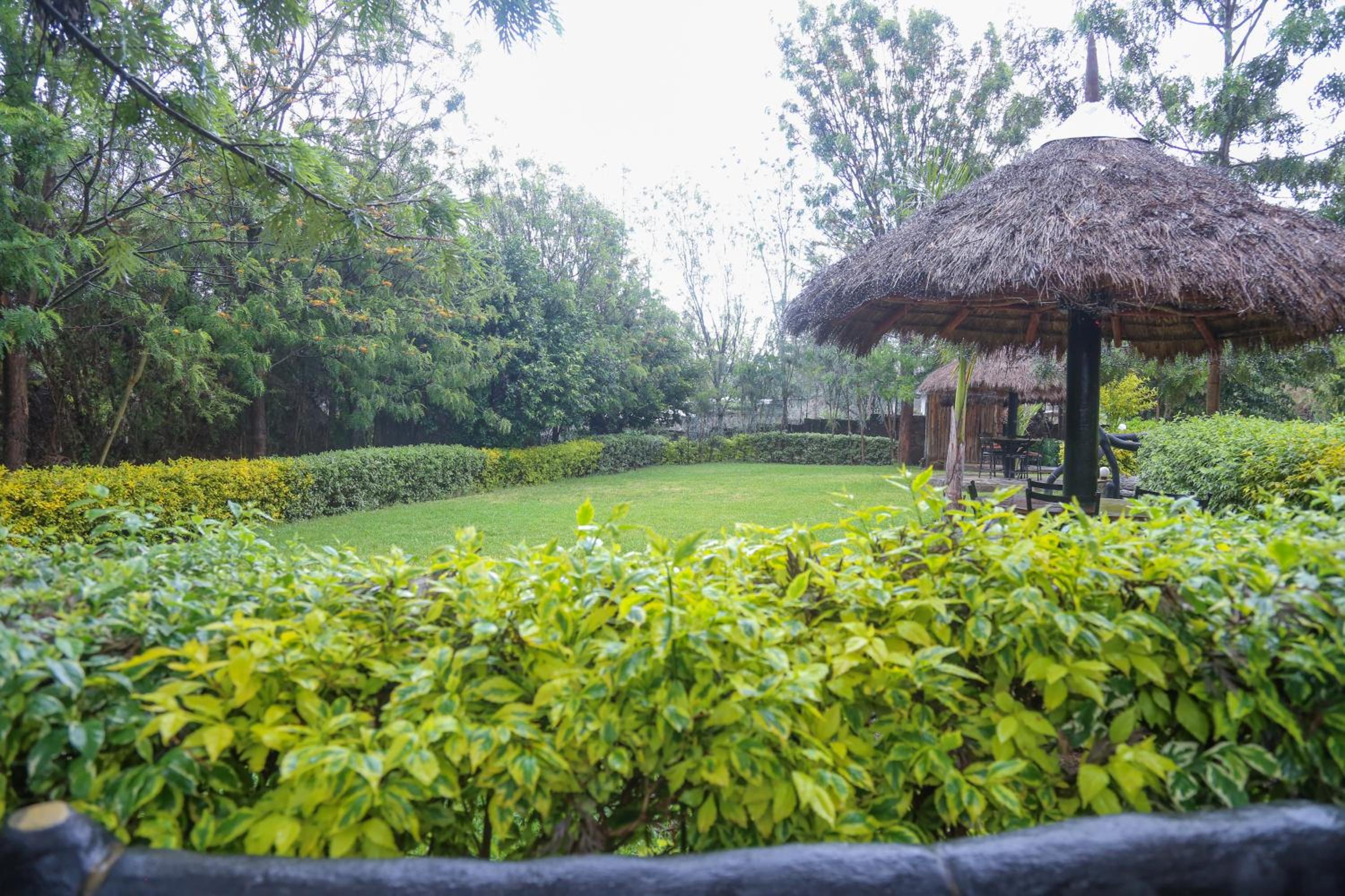 Dovenest Lodge