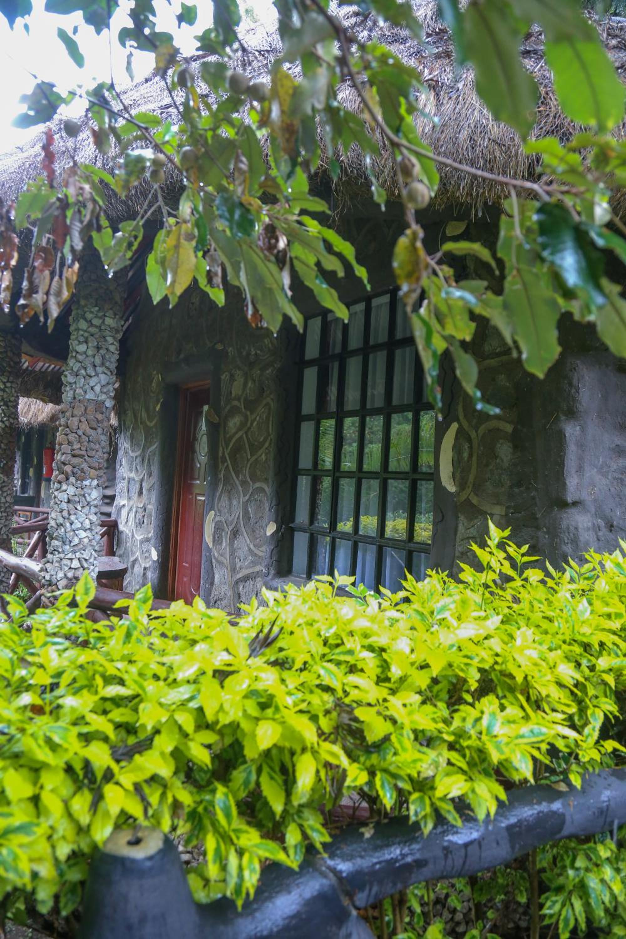 Dovenest Lodge
