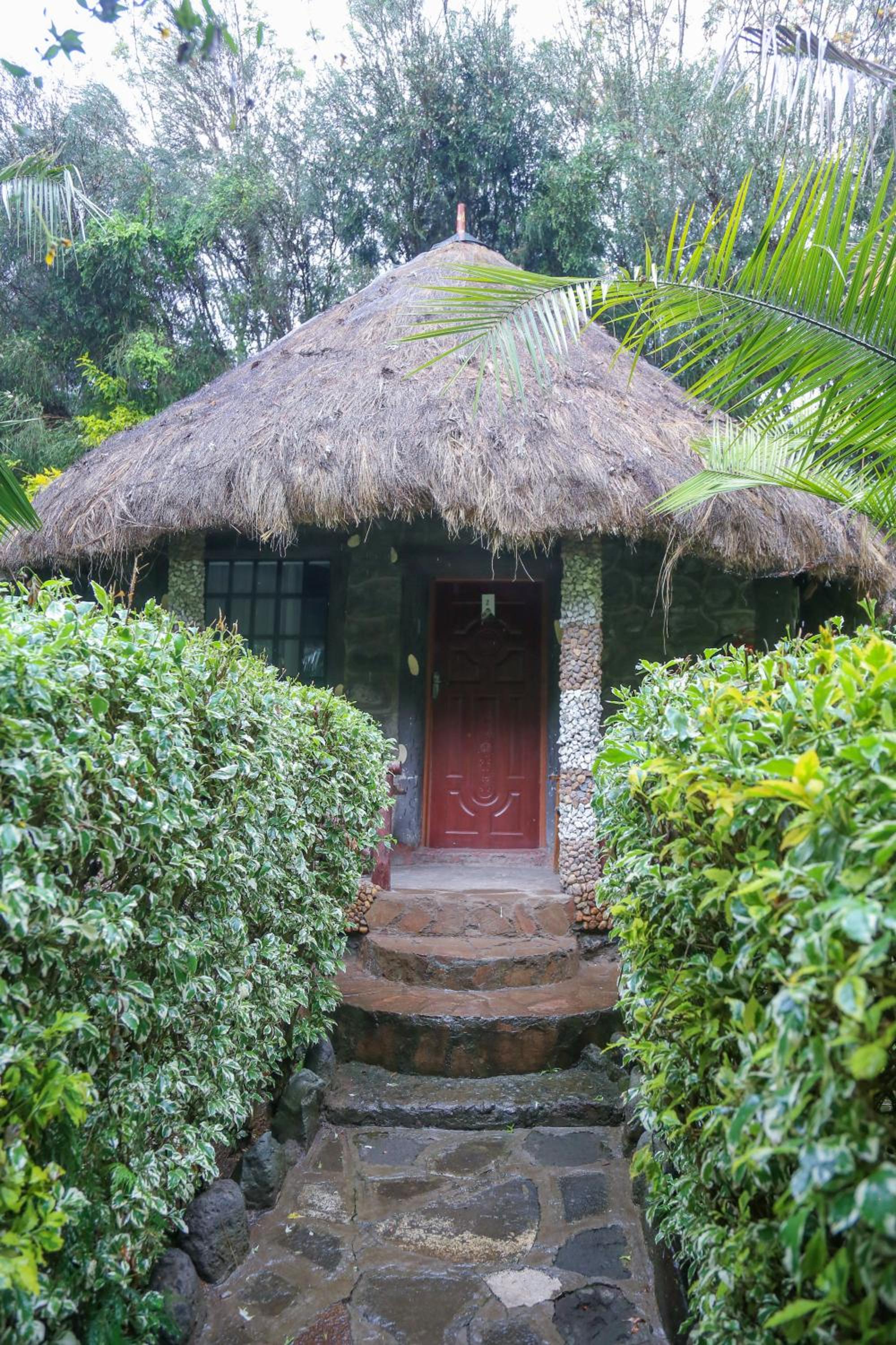 Dovenest Lodge