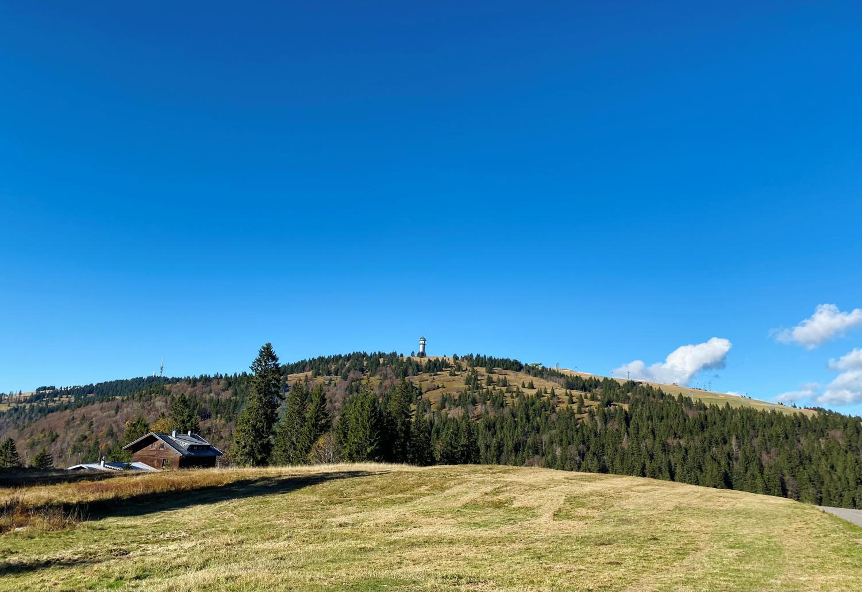 Ferienwohnung Feldberg Schwarzwald