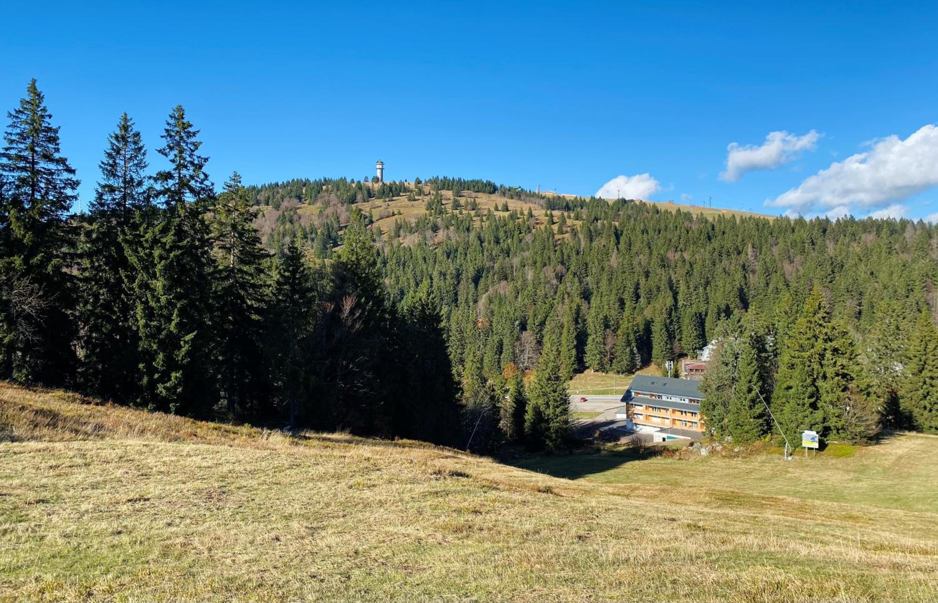 Ferienwohnung Feldberg Schwarzwald