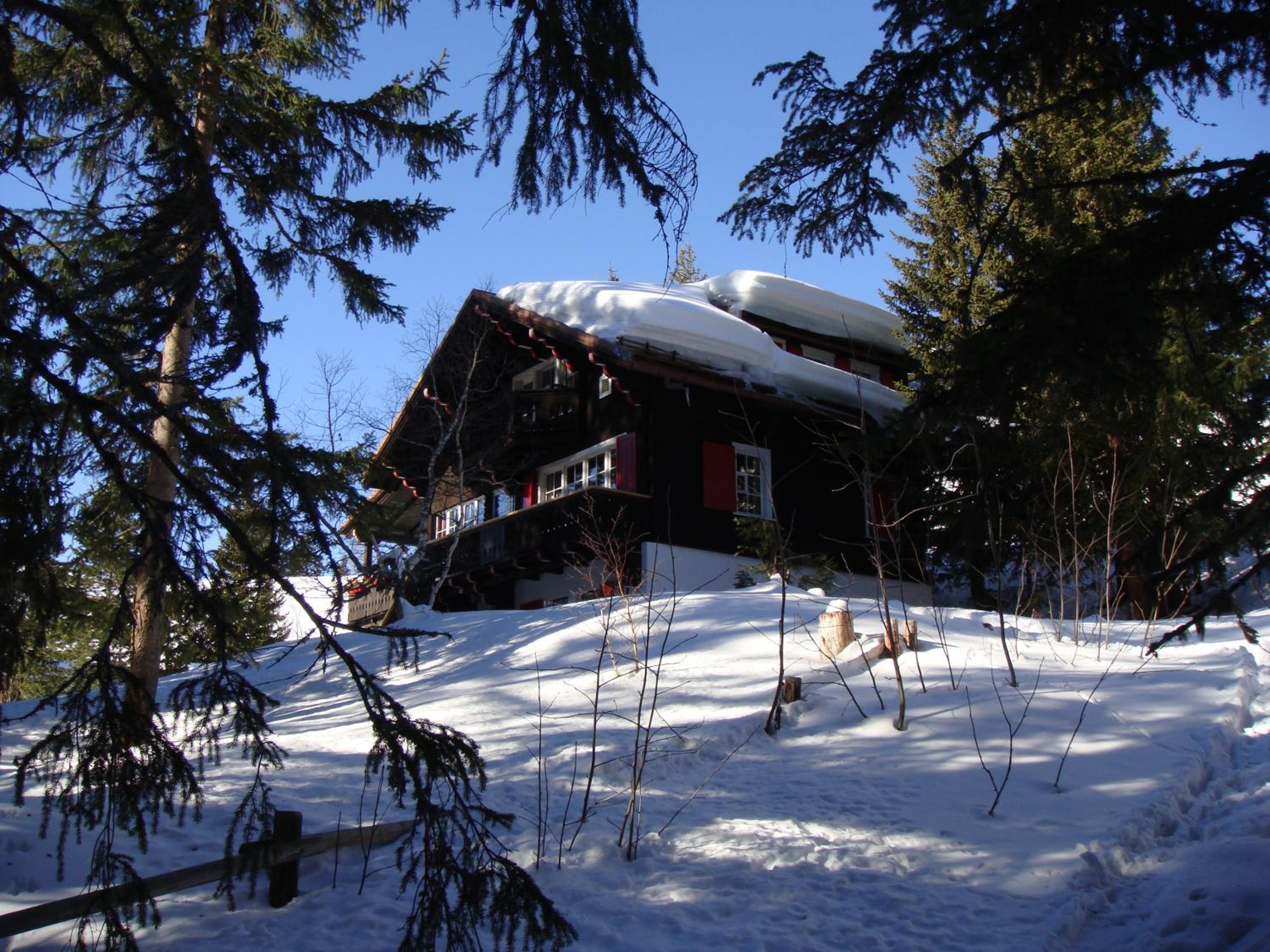 Photo 16