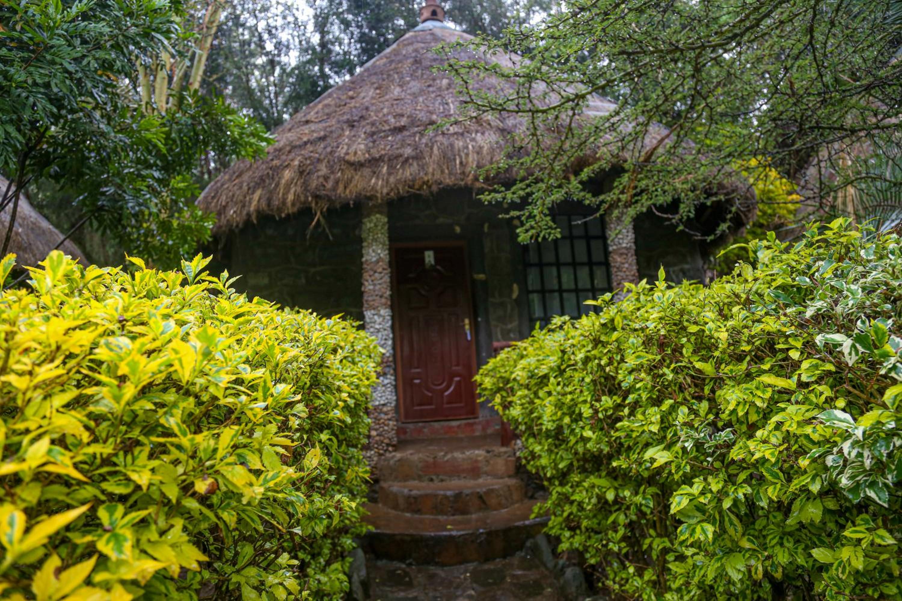 Dovenest Lodge