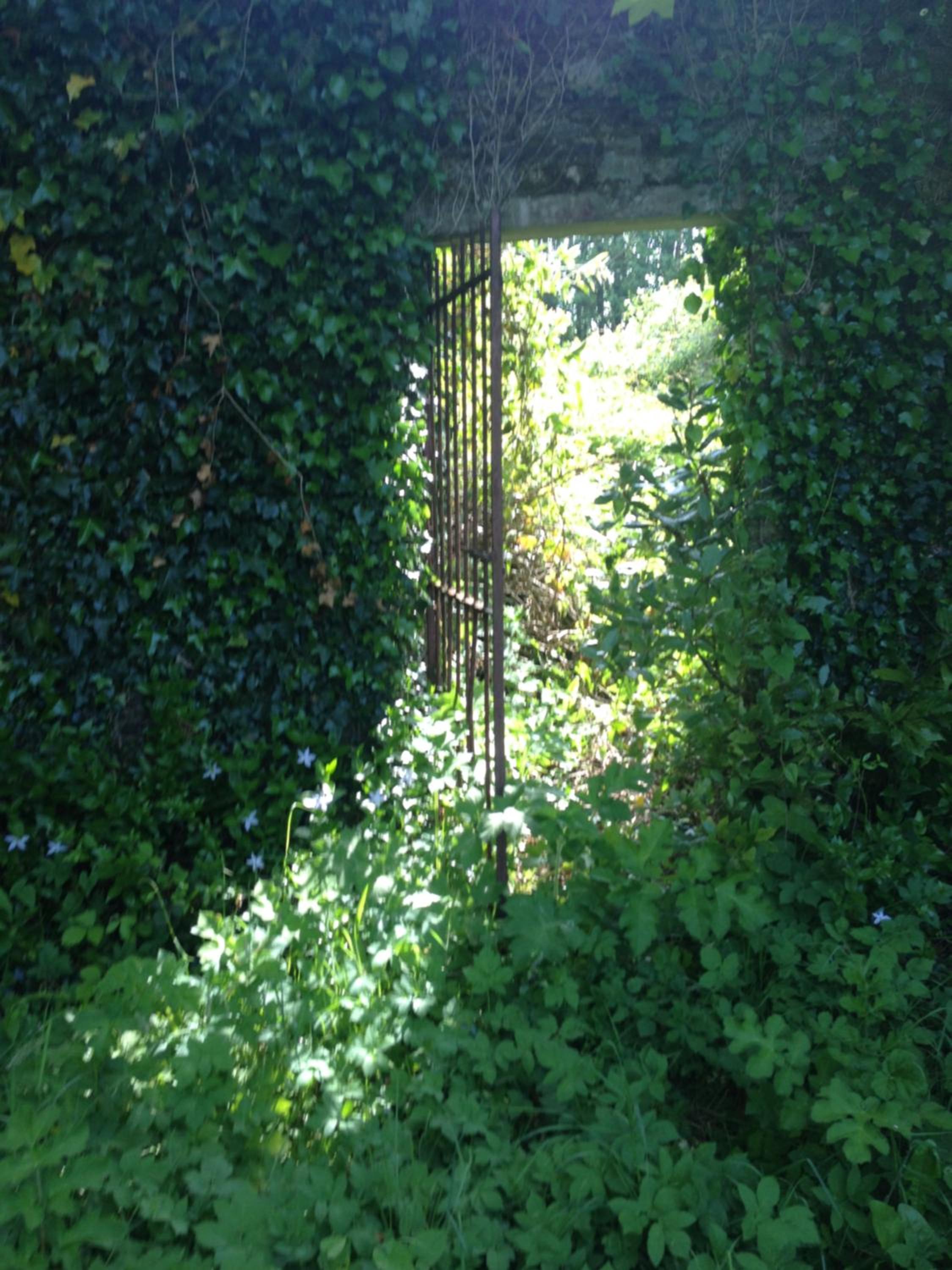 Photo 10