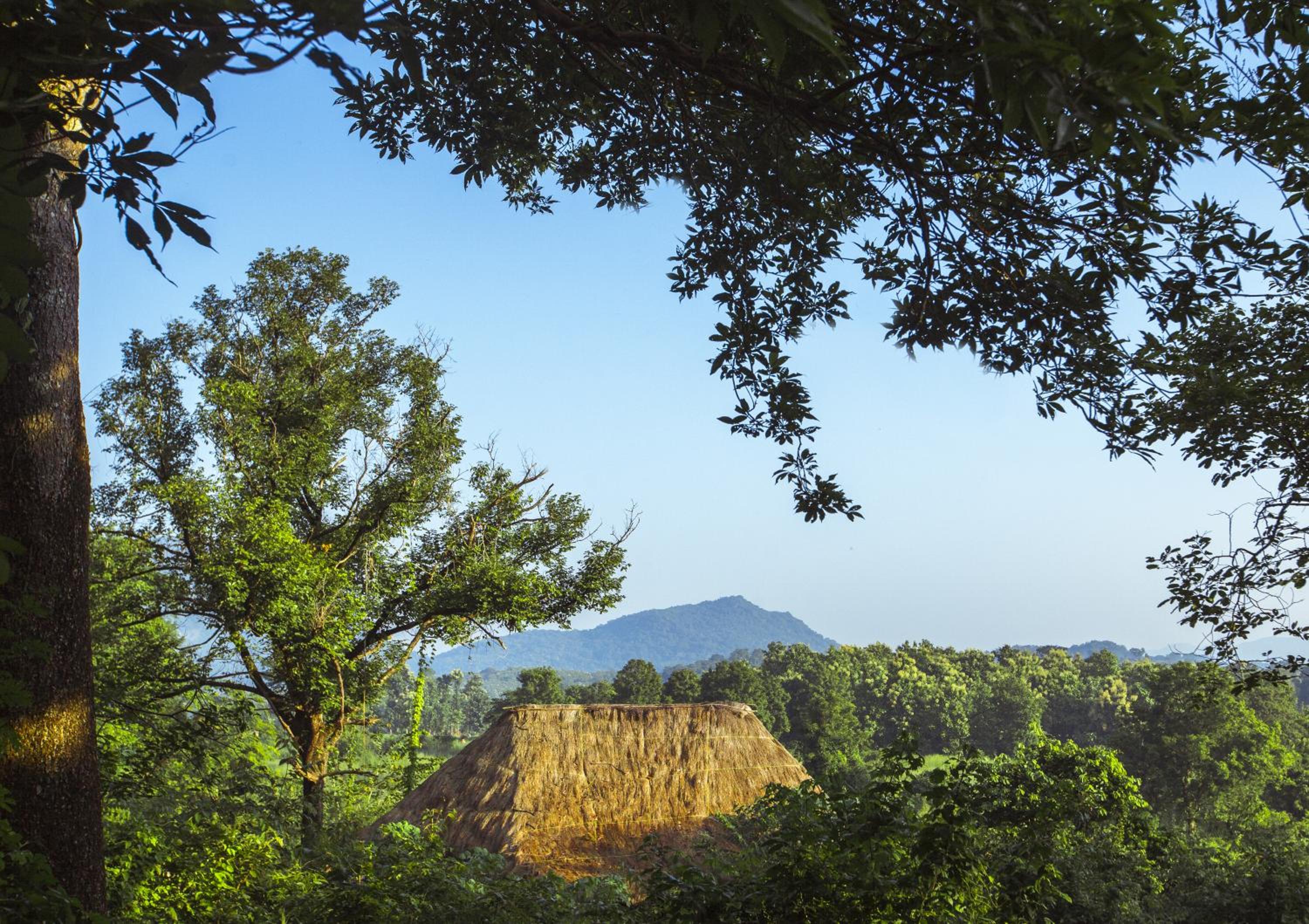 Gal Oya Lodge 19