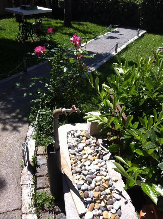 Photo 43