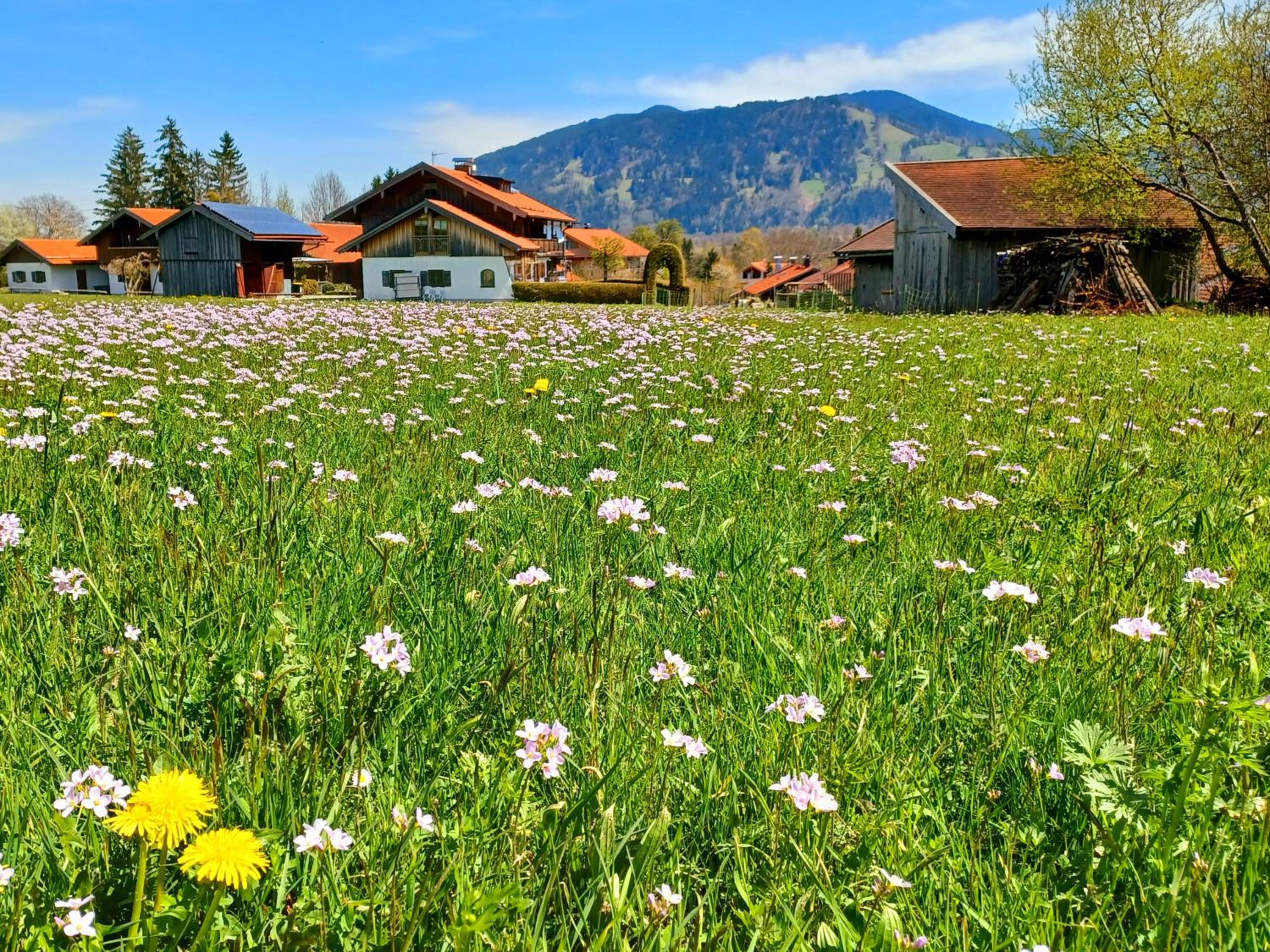 Ferienwohnung Geierstein