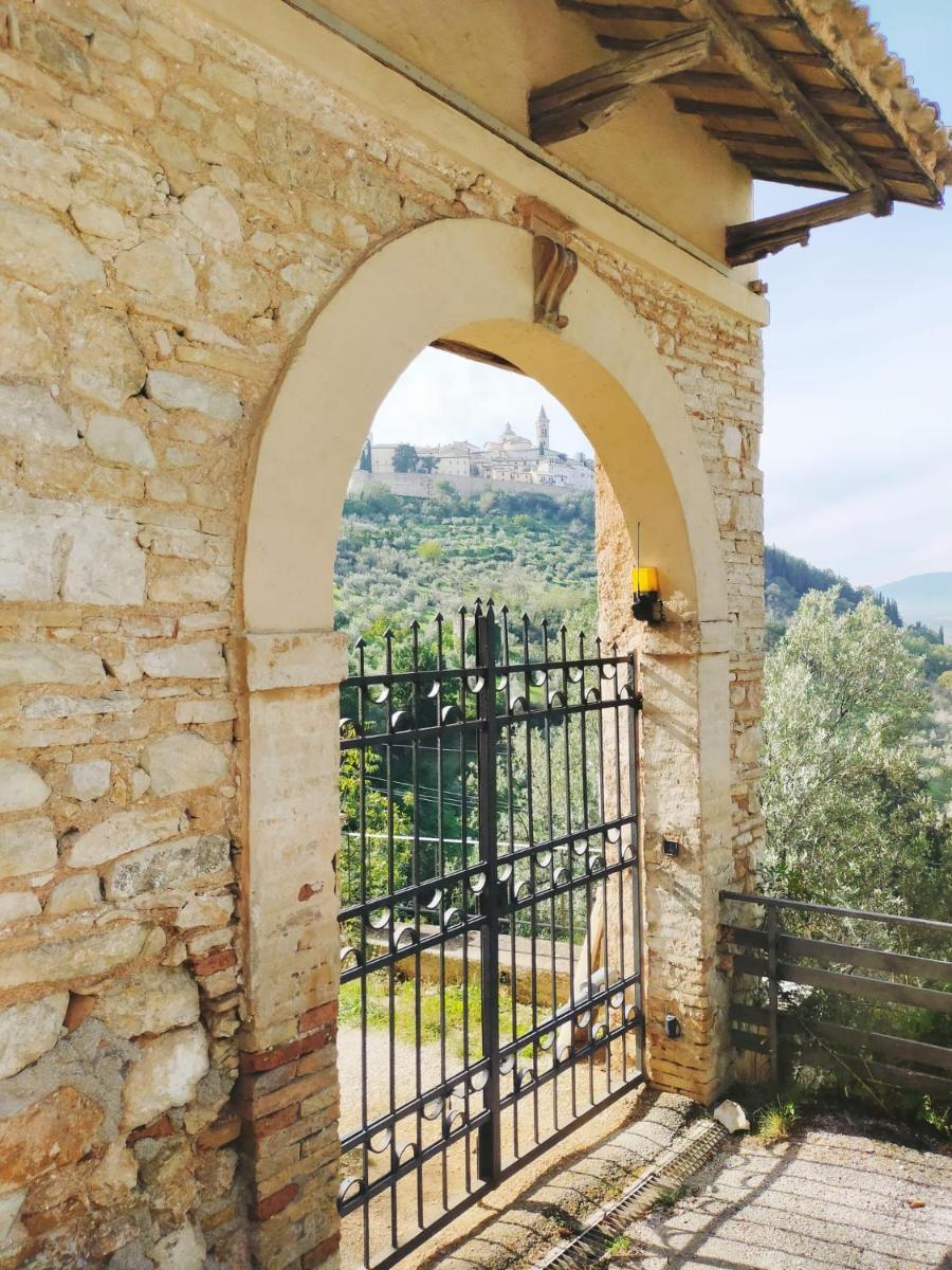 MancioBiba Home
