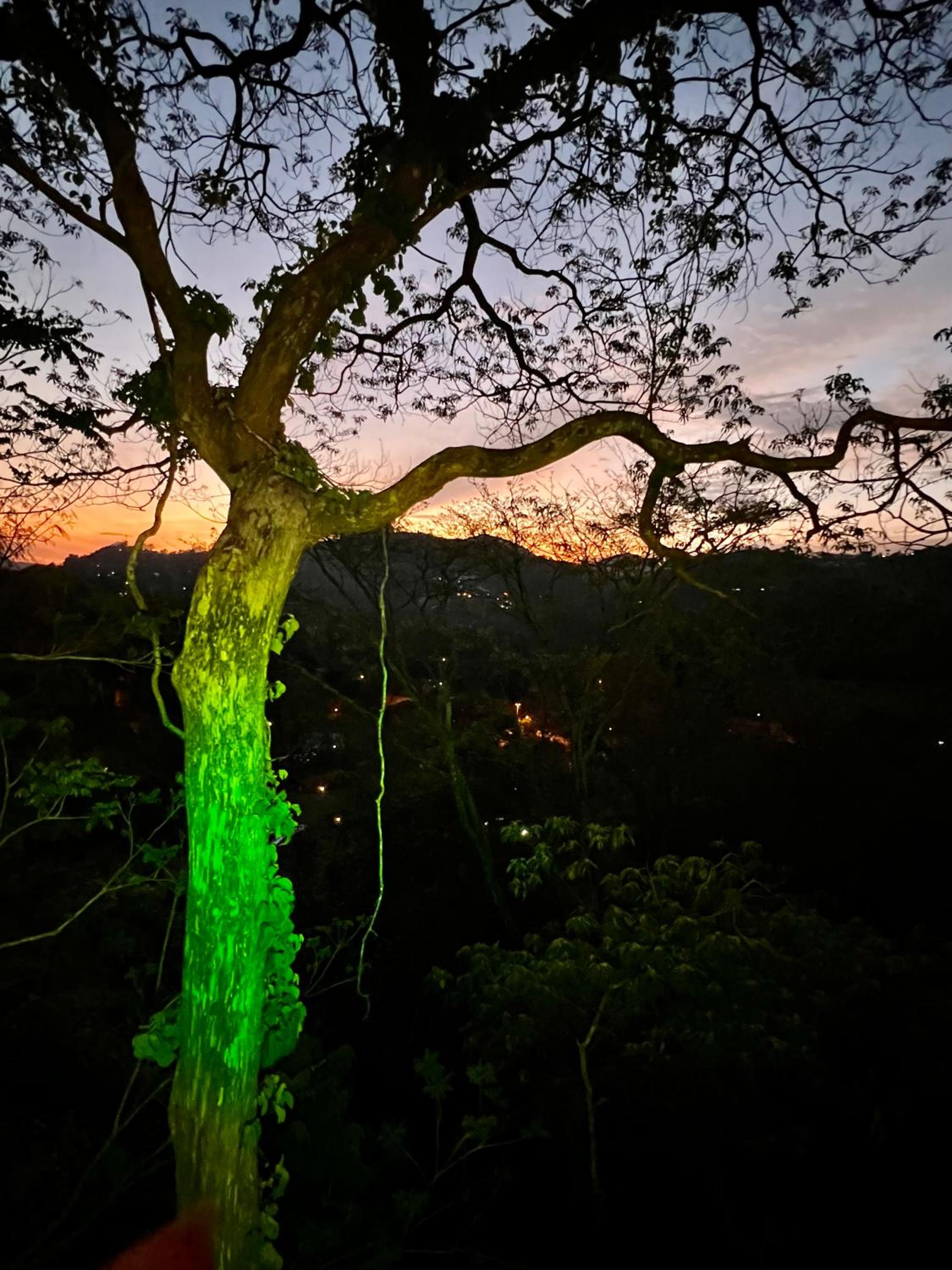 Casa do Alto Santa Mônica- Natureza ao seu redor
