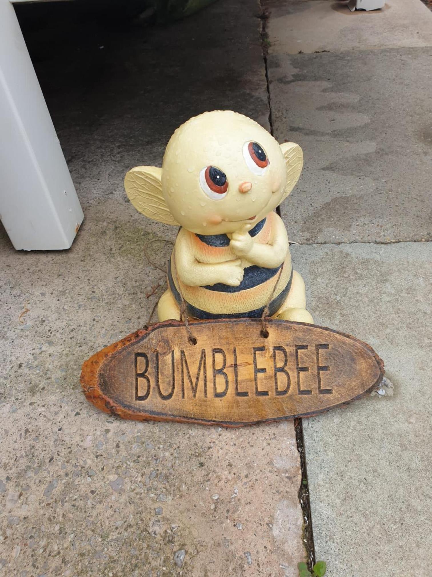 BUMBLEBEE rhyl