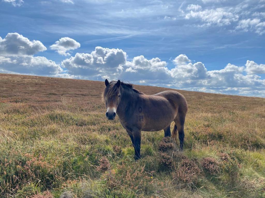 Lynton Vacations - The North Cliff Hotel - Property Image 190