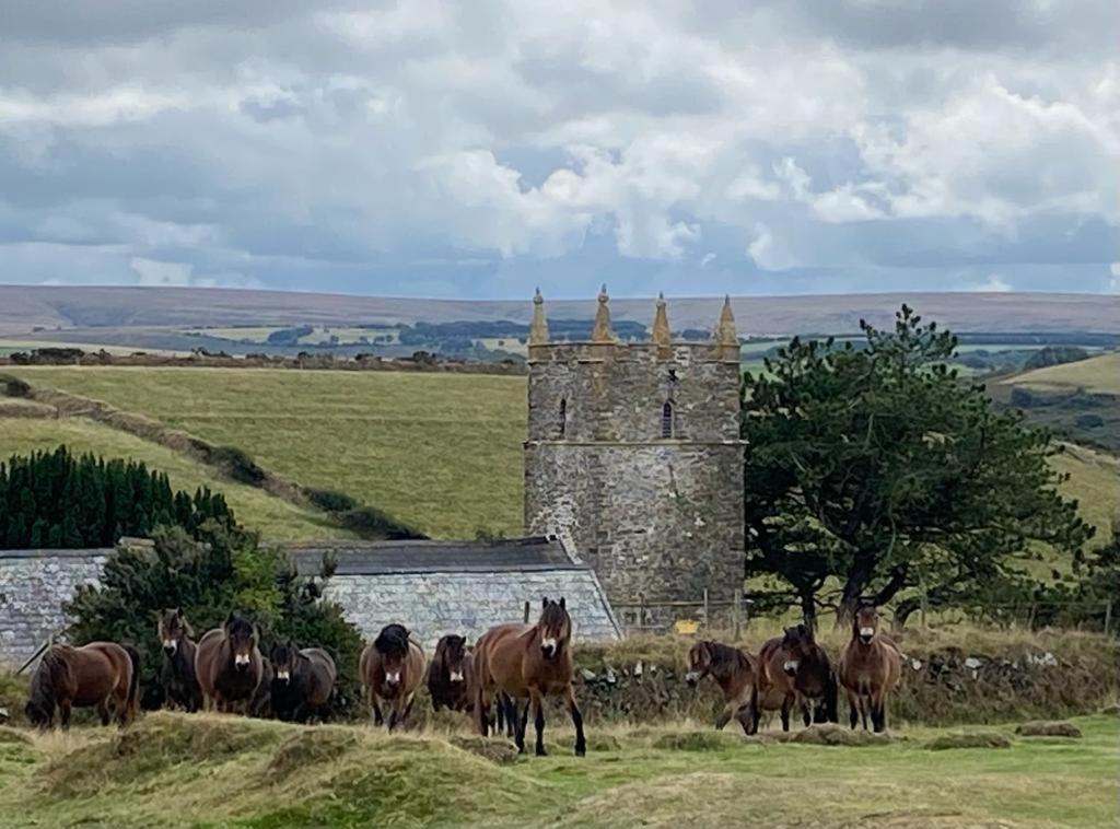 Lynton Vacations - The North Cliff Hotel - Property Image 194