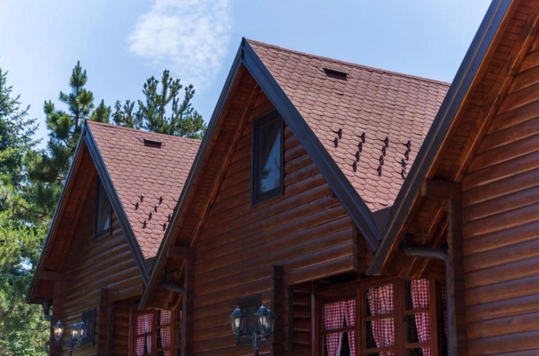 Zlatibor Brvnare Zakos view 3