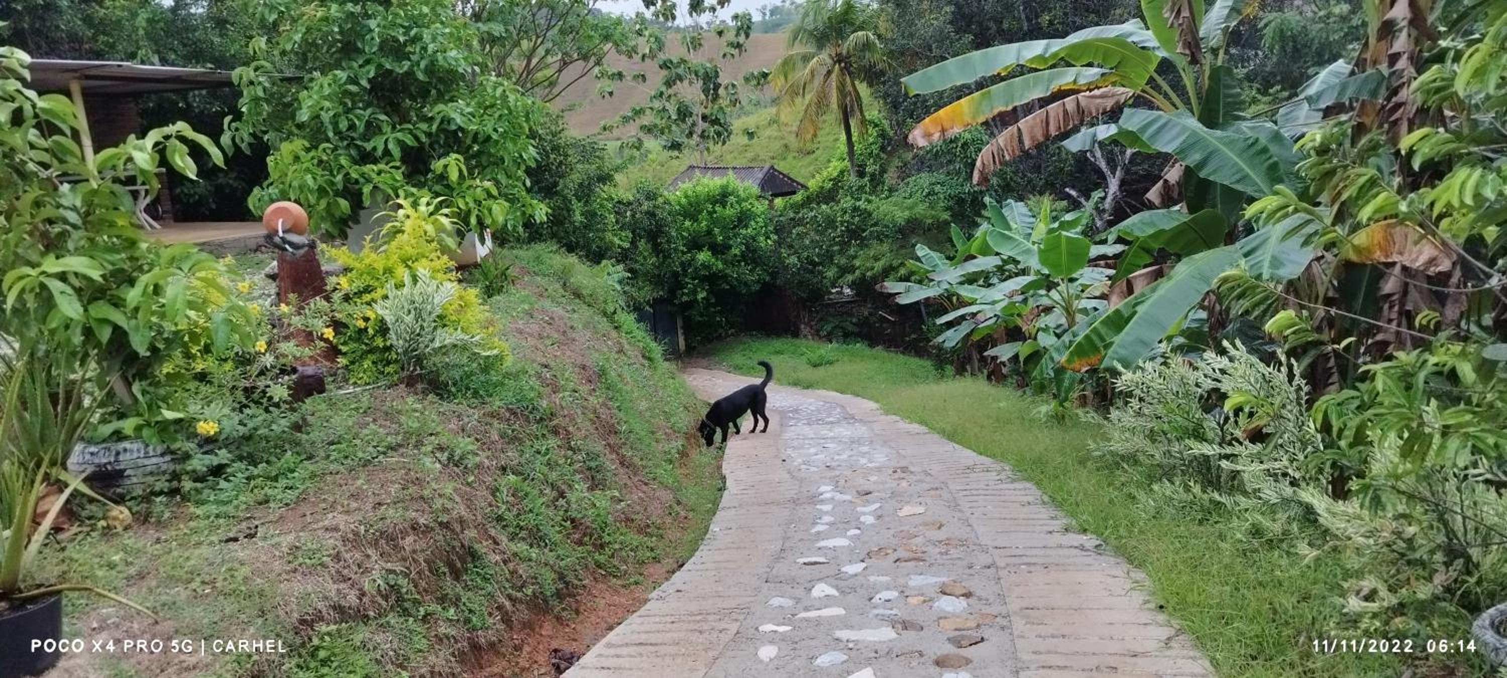 Cabaña Campestre