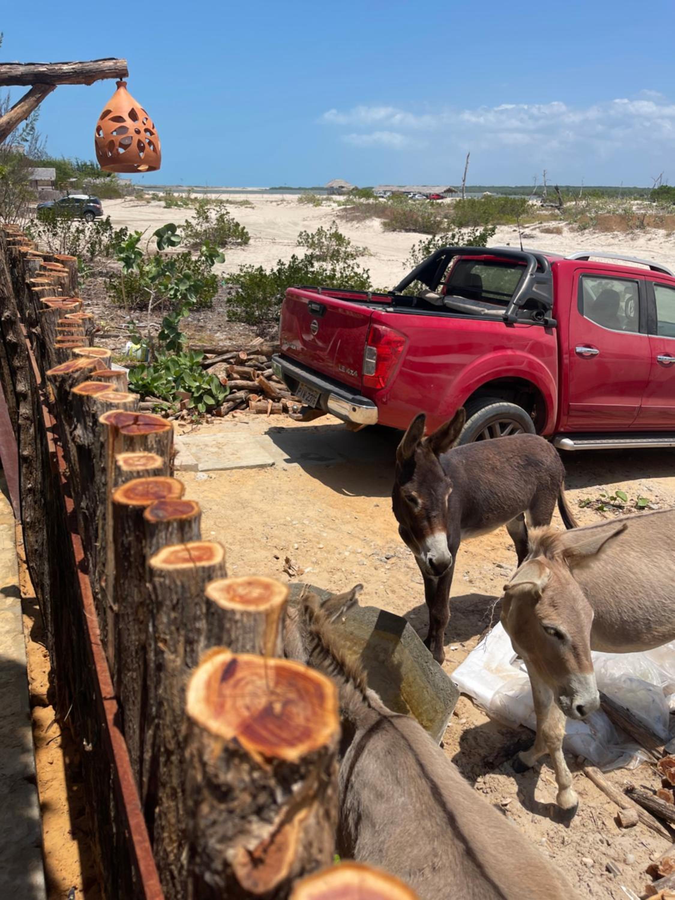 Photo 47