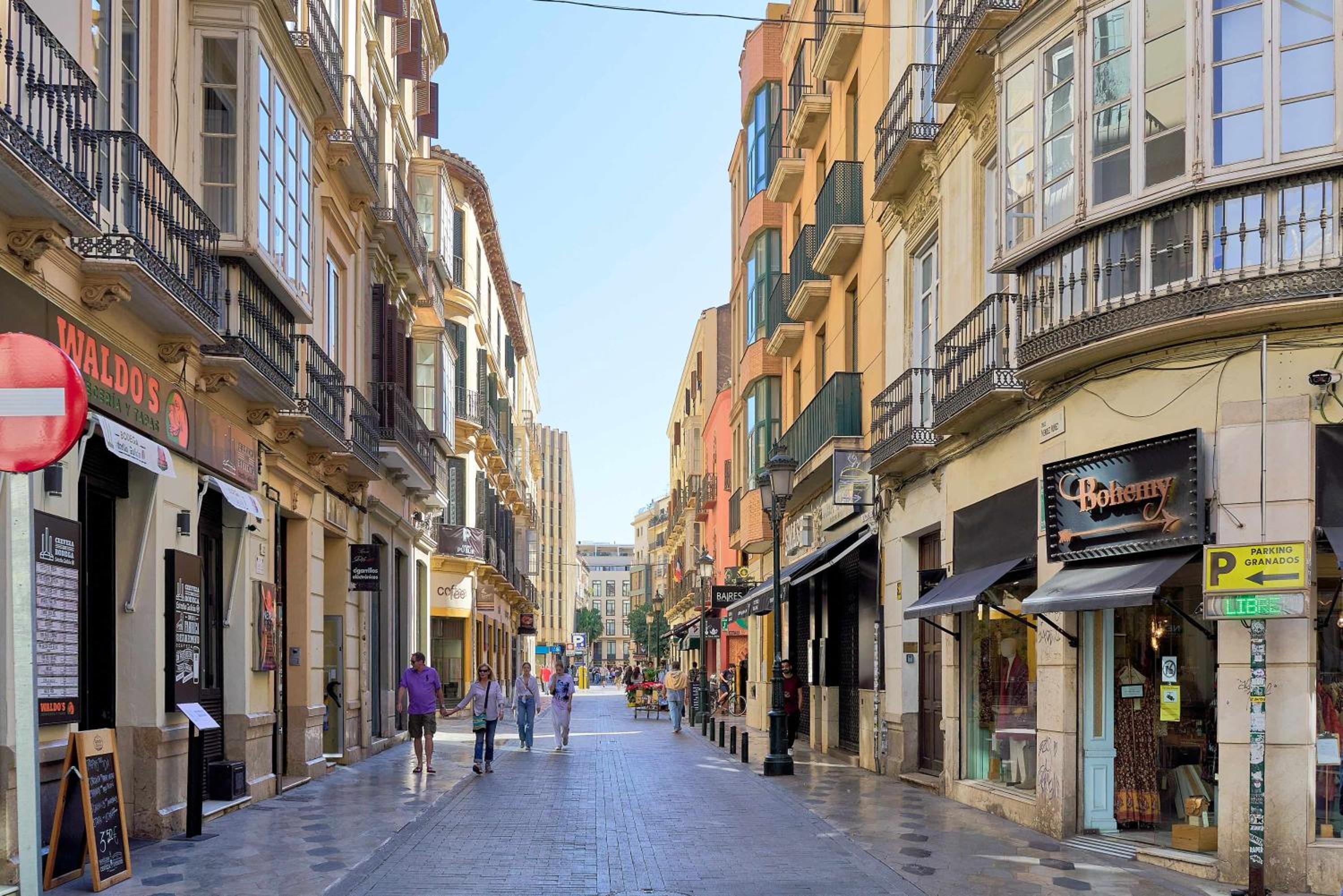 Under the Olive Trees in Historic Center of Malaga