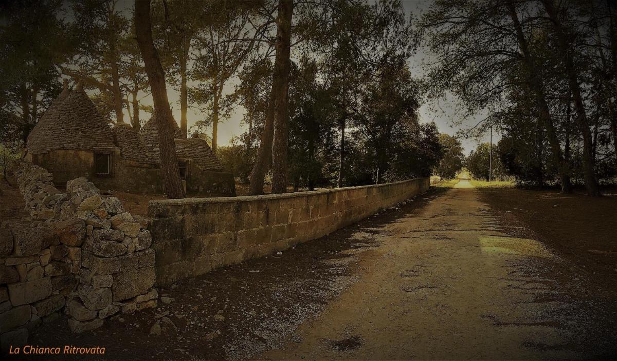 Photo 40
