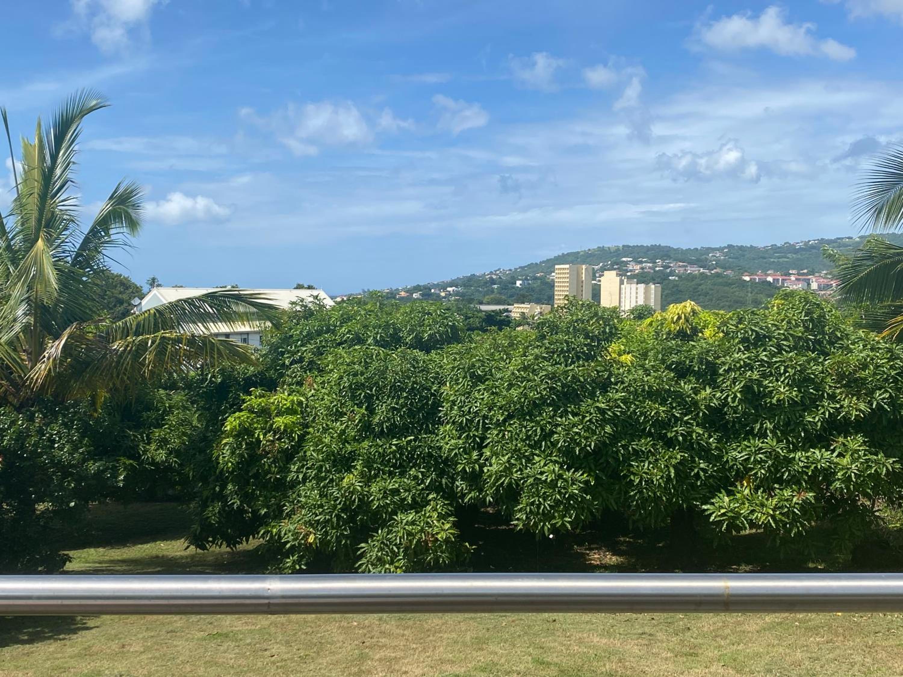 AU PIPIRI LÉVÉ view 5