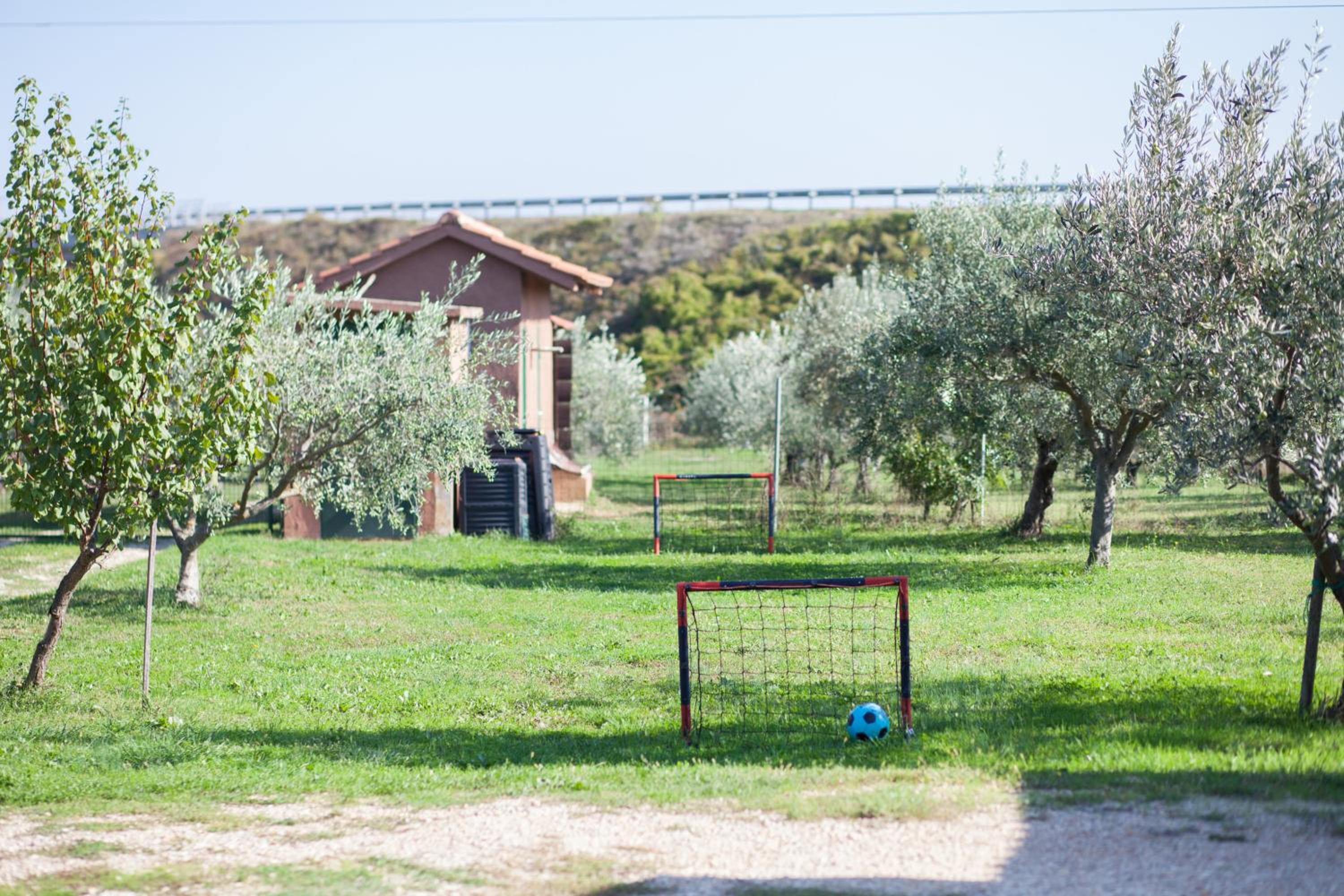 Photo 40