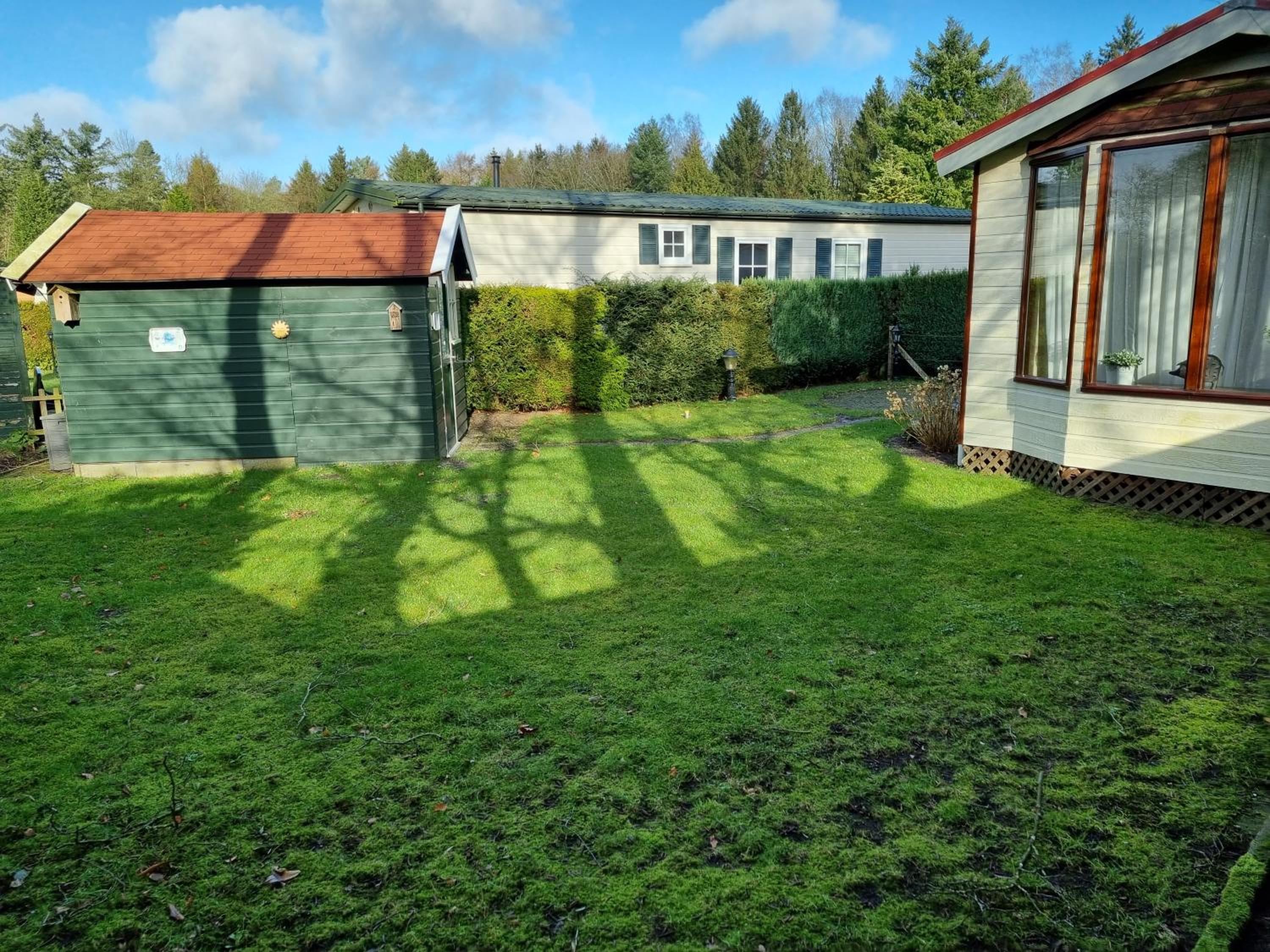Photo 117