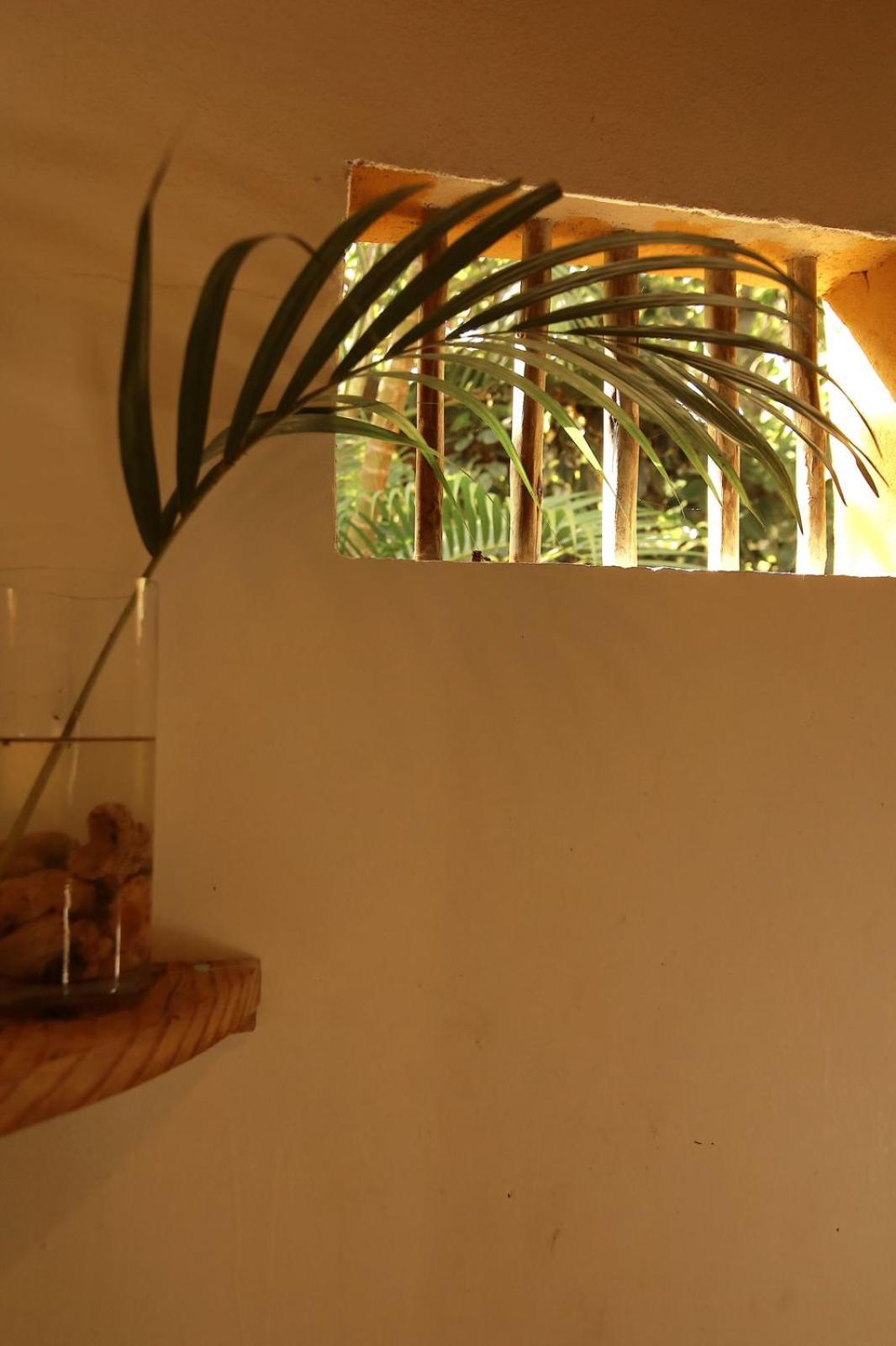 Caraiva Casa