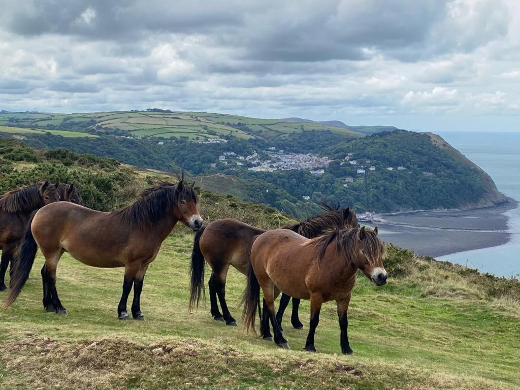 Lynton Vacations - The North Cliff Hotel - Property Image 195