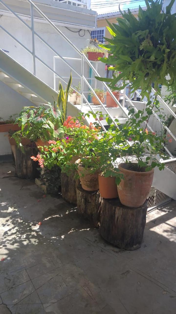ARNAS HOME view 2