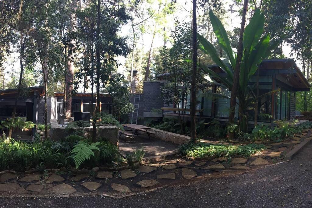 Casa William en el bosque view 2