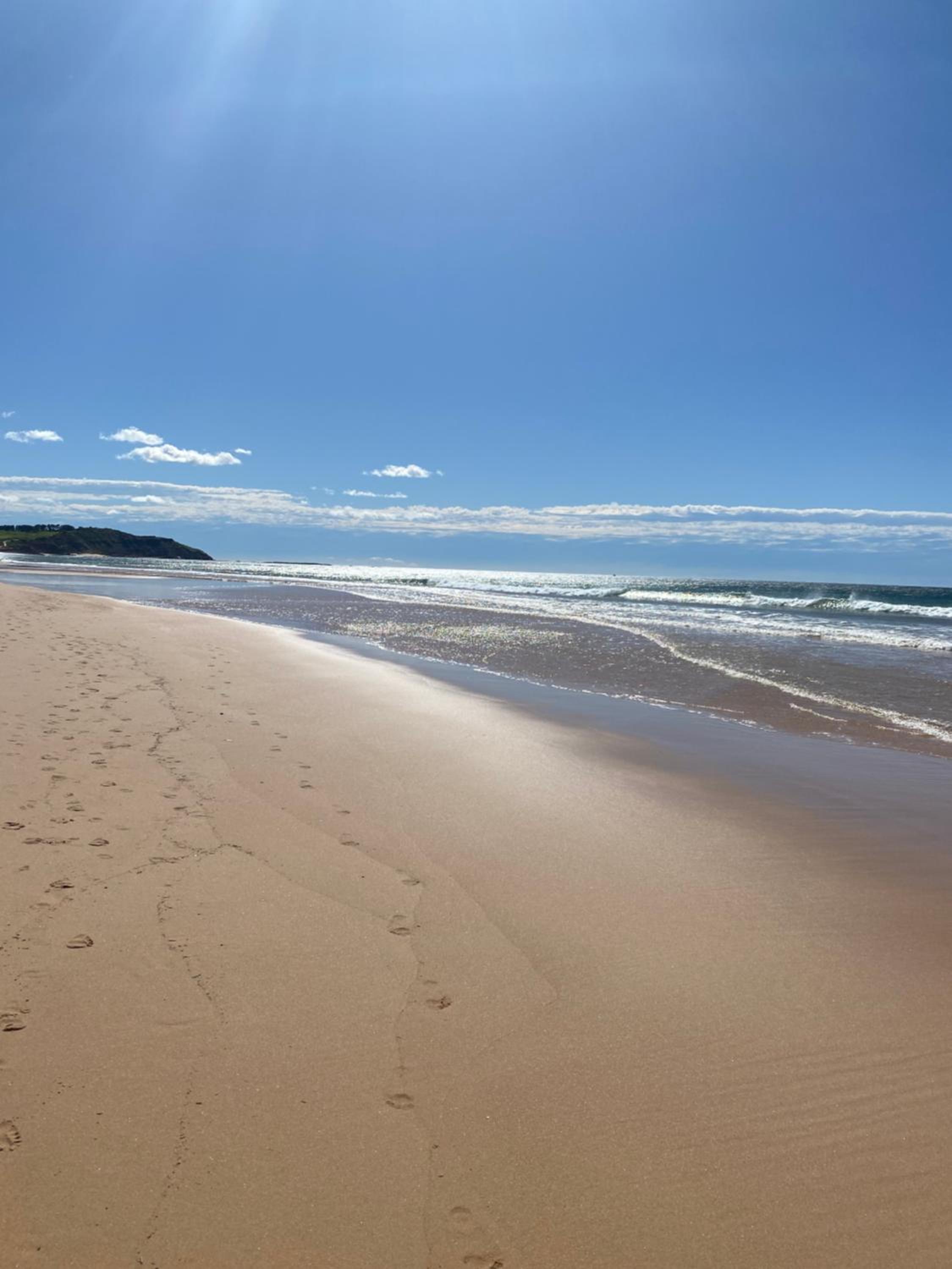 Dee Why Beach - Surfrider Studio 8