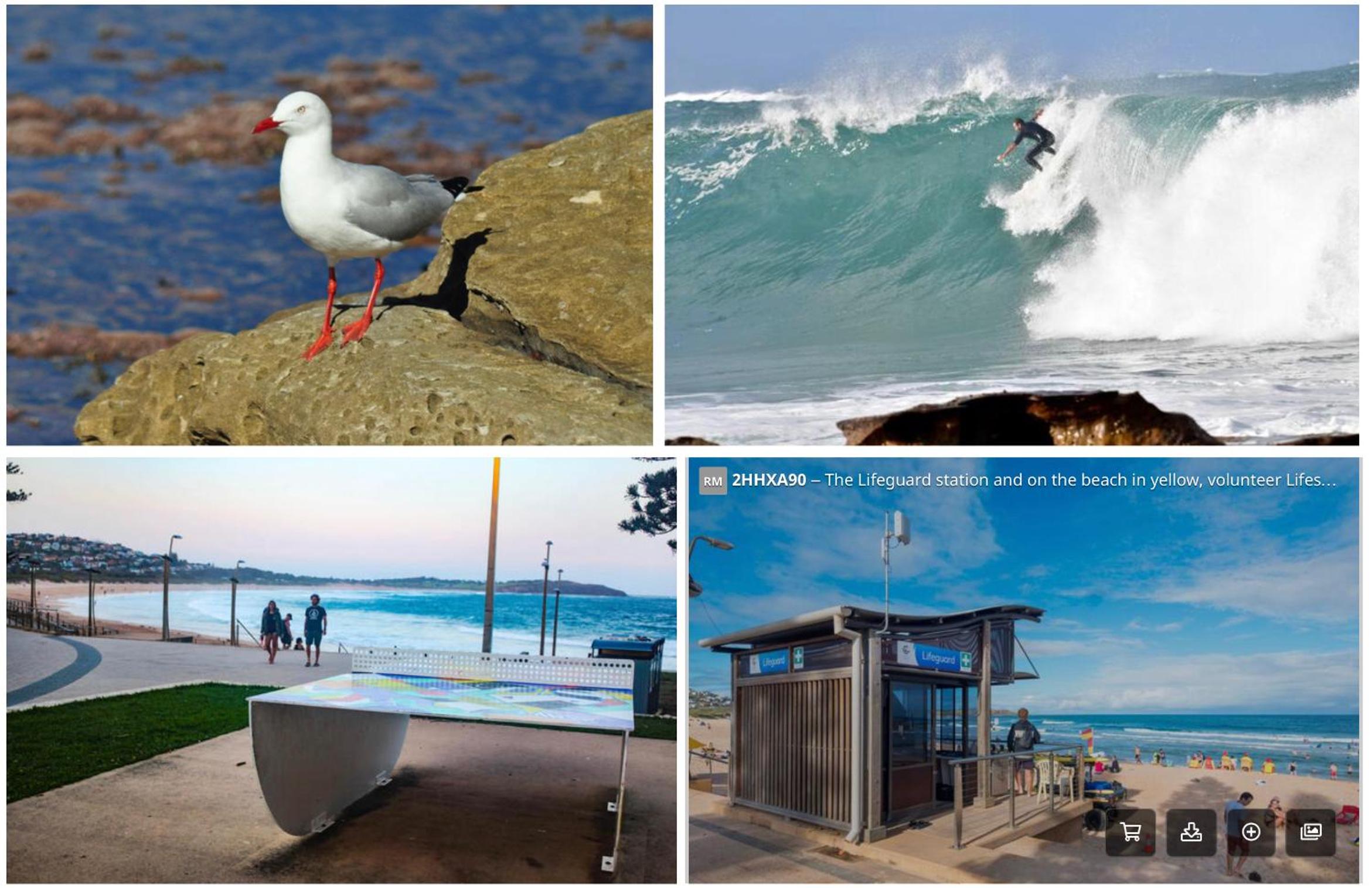 Dee Why Beach - Surfrider Studio 8