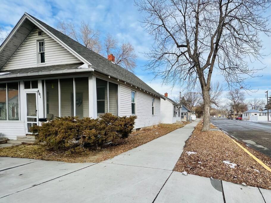 Cozy cottage in the heart of the big city- dog friendly view 2