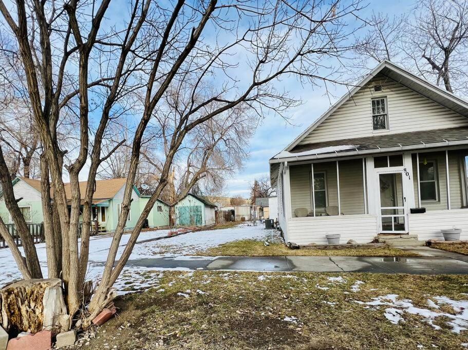 Cozy cottage in the heart of the big city- dog friendly view 4