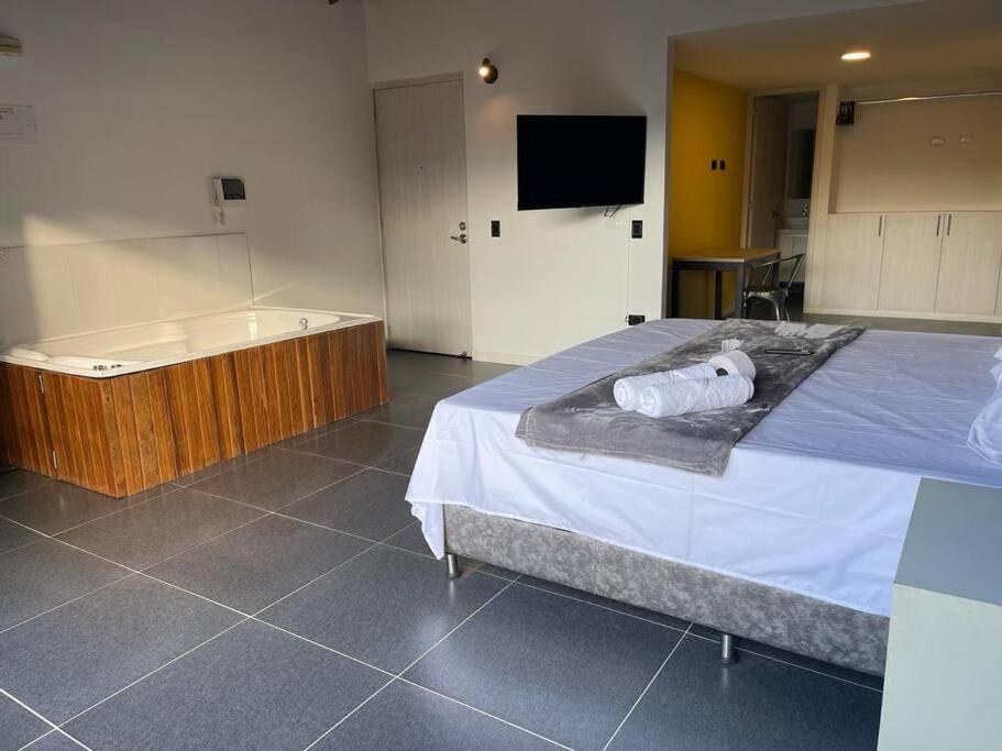 Hermoso loft con jacuzzi y balcon