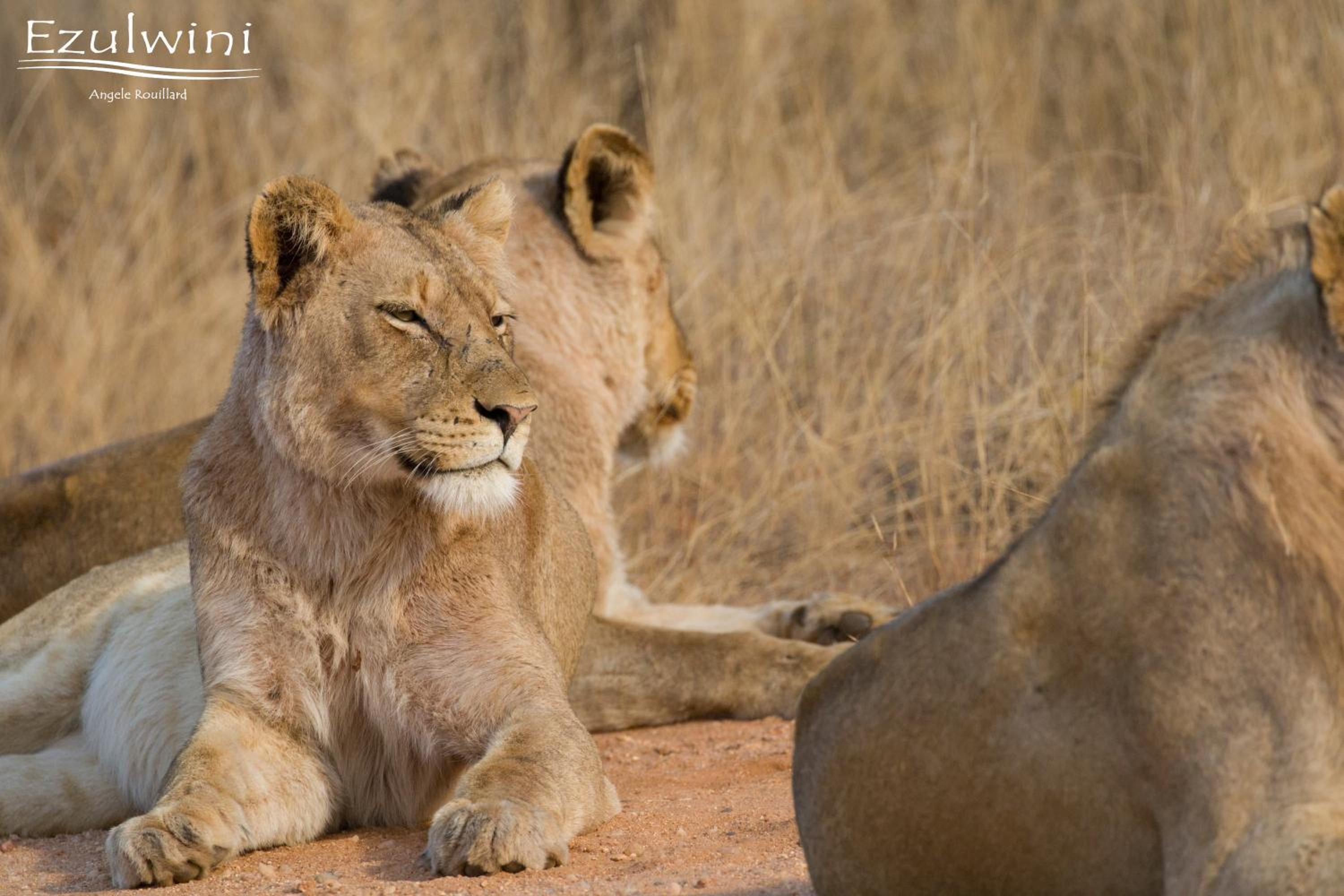 other