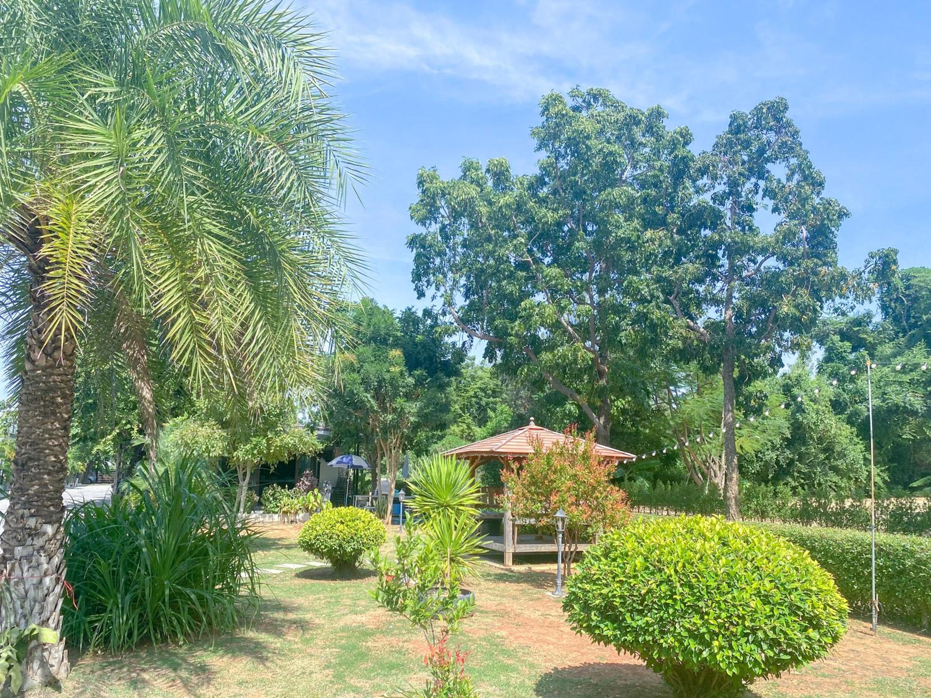 SP view Resort