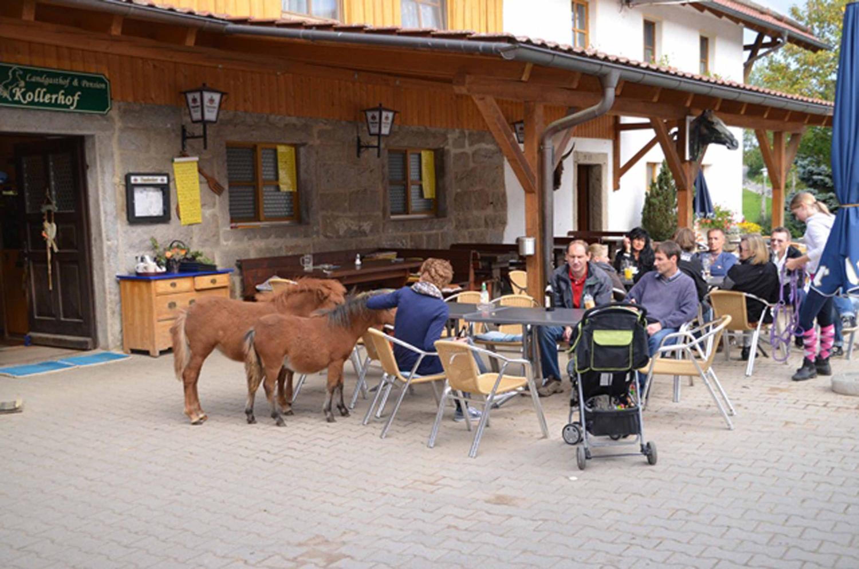 Kollerhof