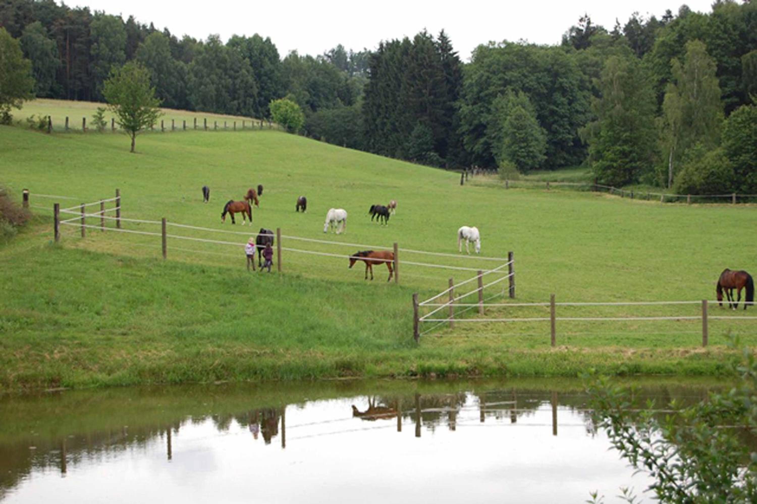 Kollerhof