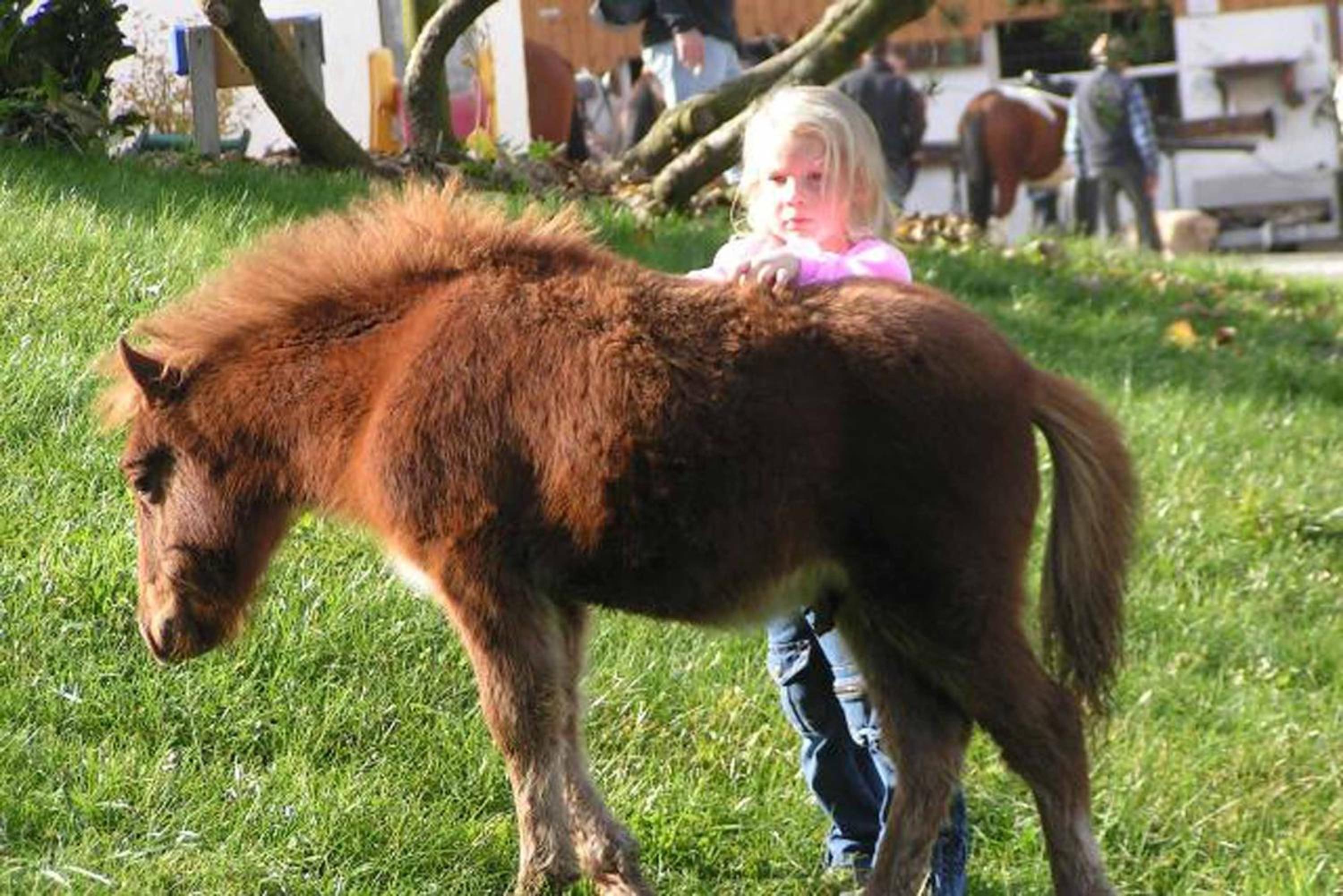 Kollerhof