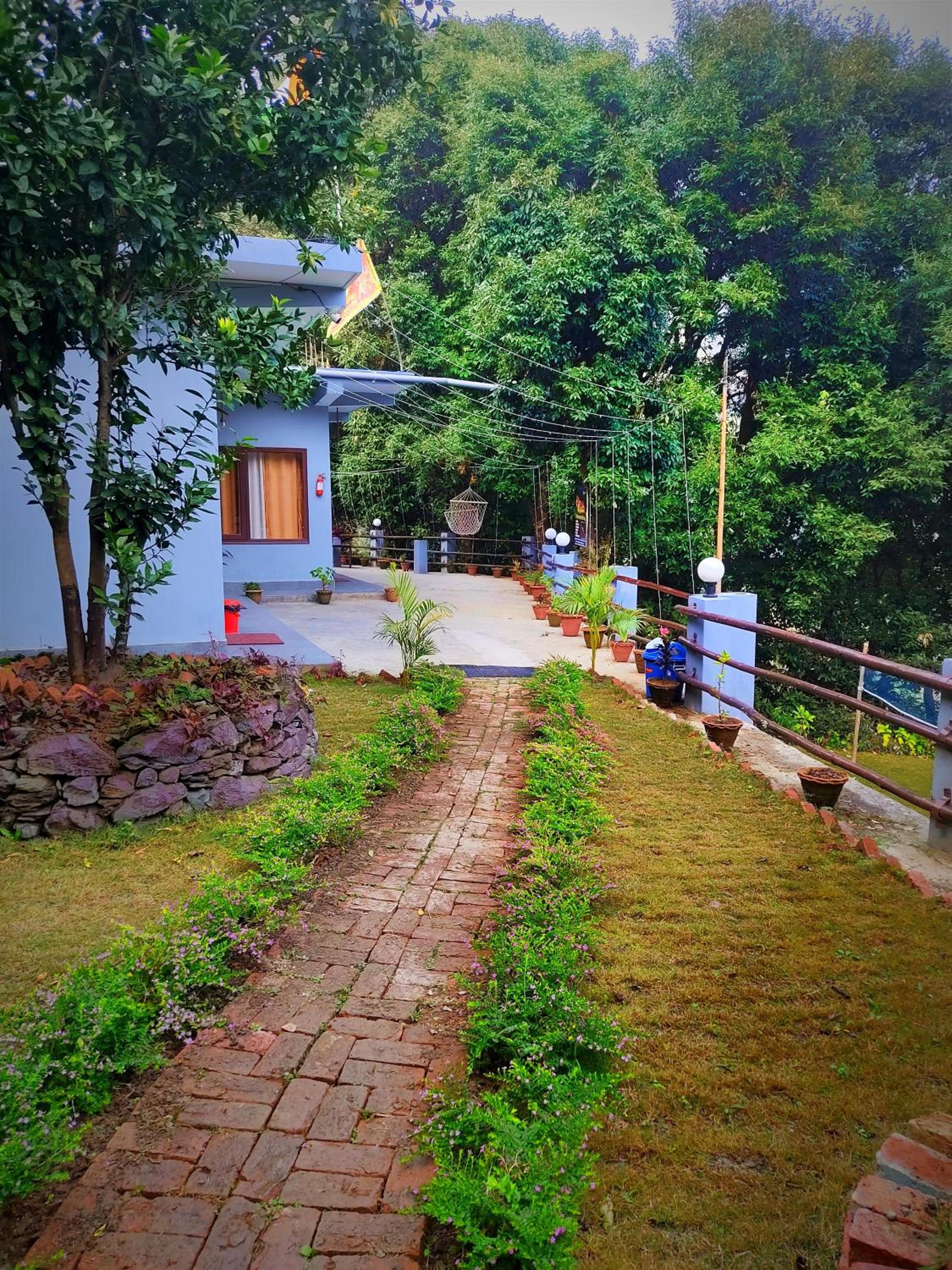 Photo 41
