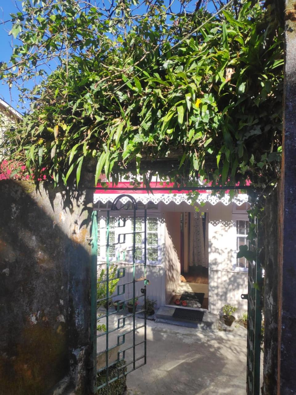 Darjeeling BnB view 4