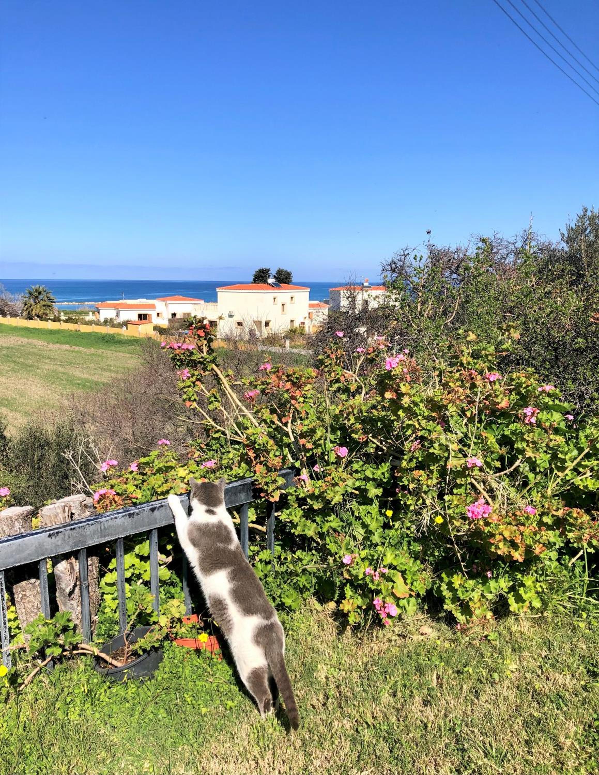 White House studio with sea view and parking